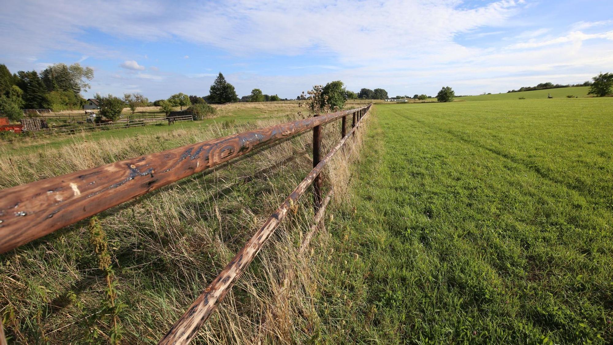 Ein Holzzaun verläuft über eine grüne Wiese.