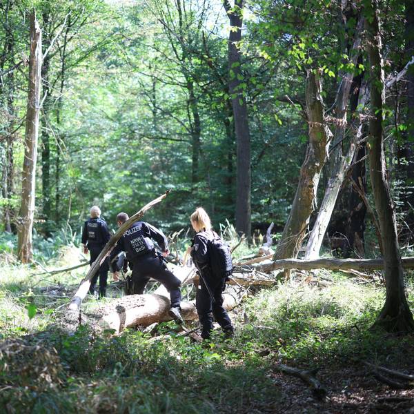 Polizeikräfte durchsuchen ein Waldstück bei einem Großeinsatz am Hambacher Forst. Wegen der Sabotage-Akte auf das deutsche Stromnetz wird seit Tagen nach einem 48 Jahre alten Tatverdächtigen gesucht.