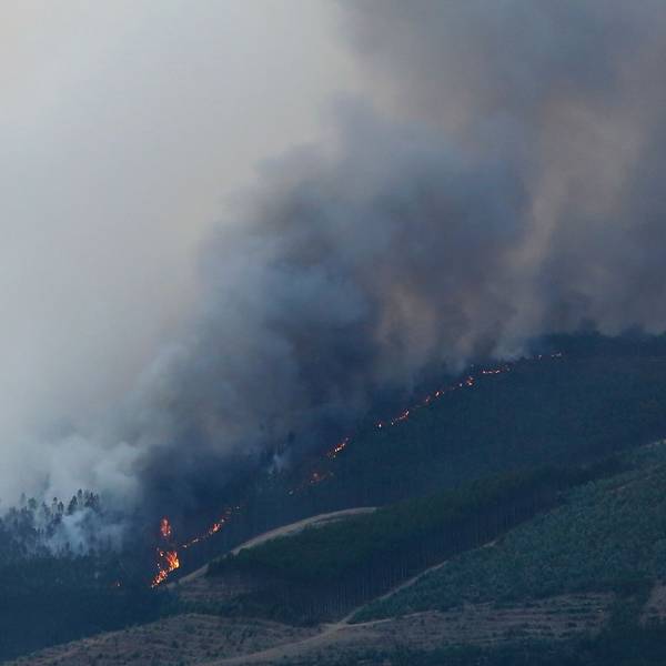 WMO: Hitzewellen und Brände verschärfen Luftverschmutzung