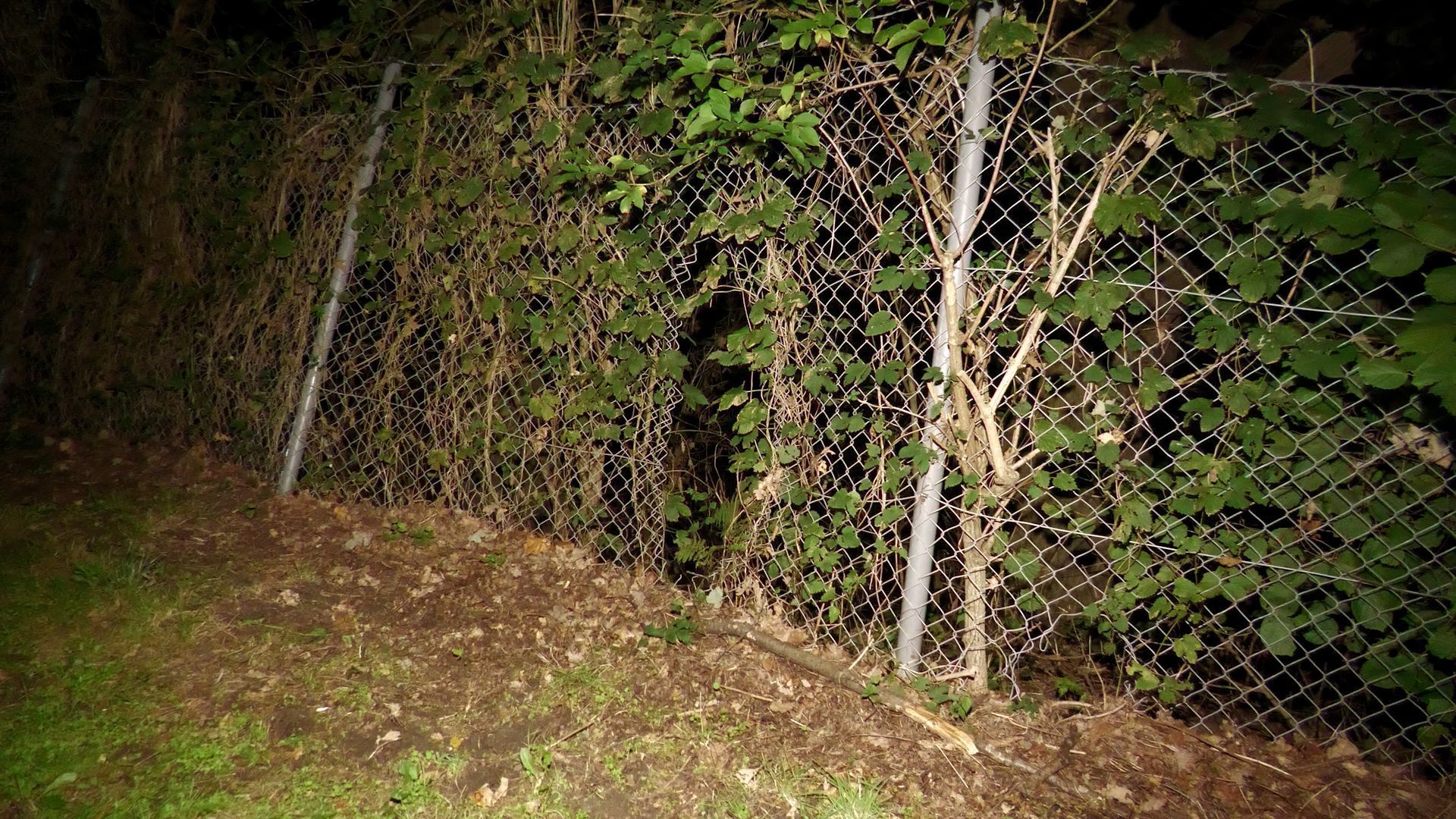 Ein Scheinwerfer beleuchtet ein Loch im Zaun des Umspannwerks Wesel. Die Beschädigung war einer Polizeistreife aufgefallen.
