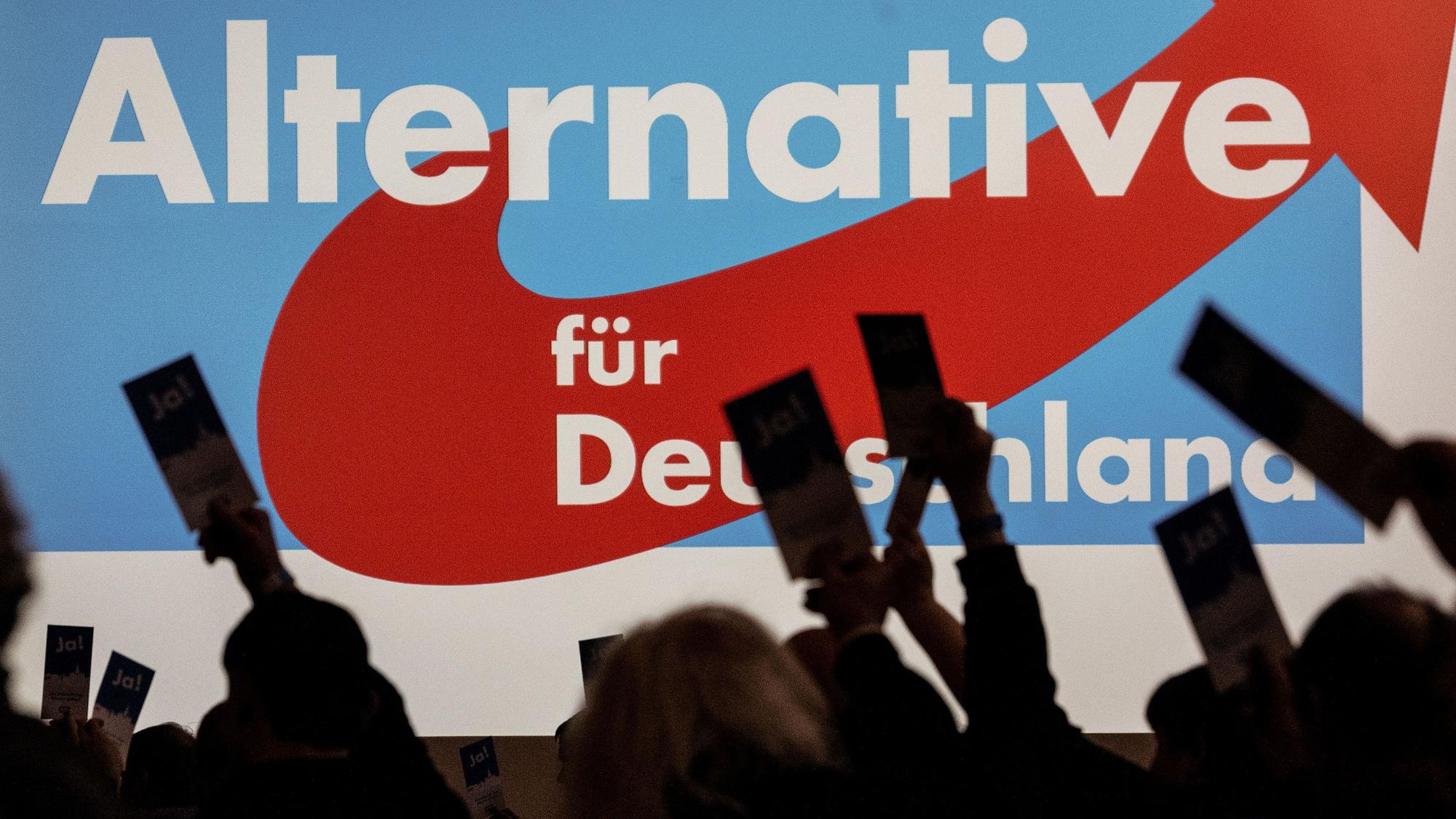 Die AfD hat die Landtagswahl in Sachsen-Anhalt gewonnen. (Archivbild)