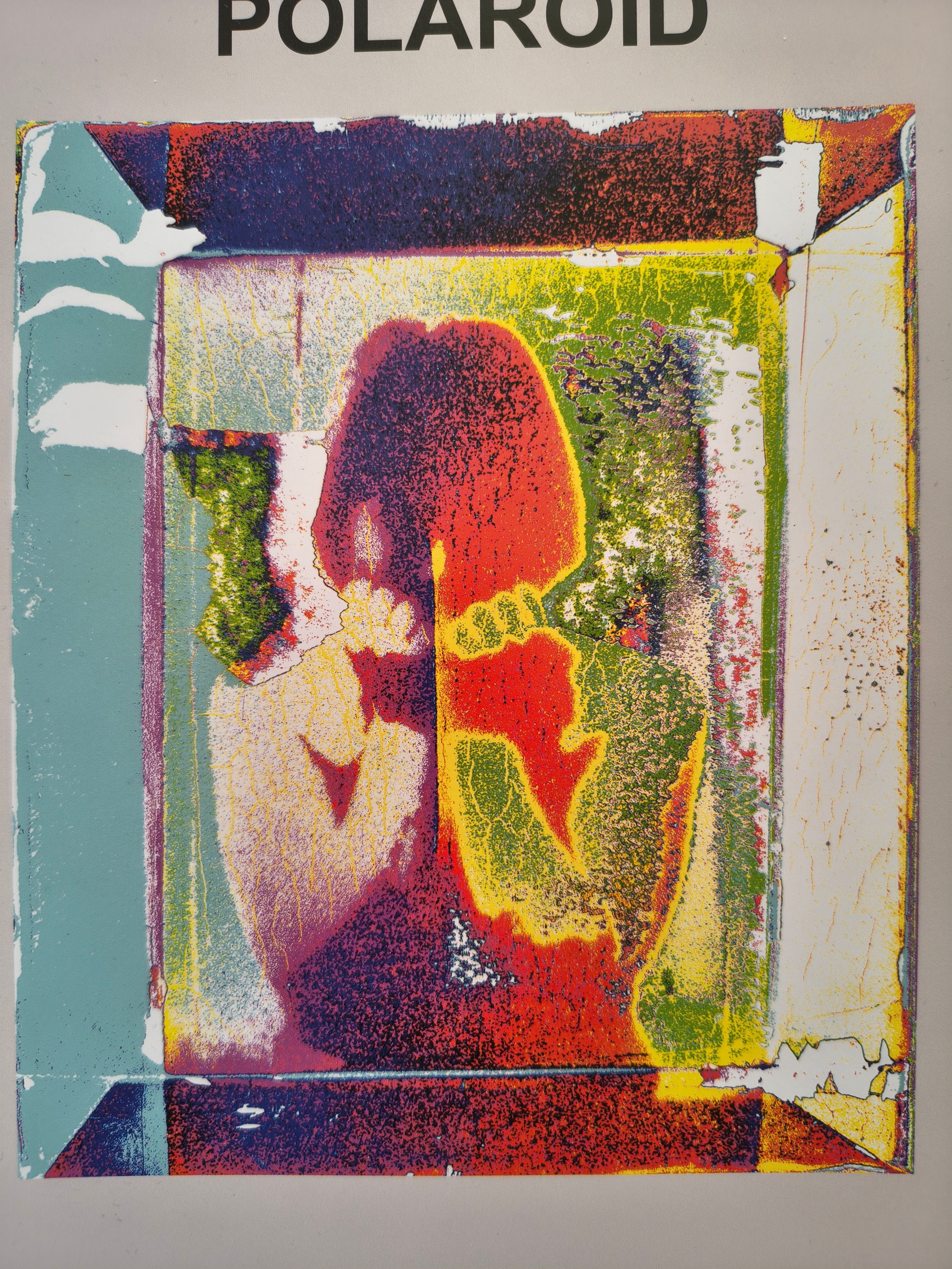 Arbeiten mit Polaroids von Herbert Döring-Spengler