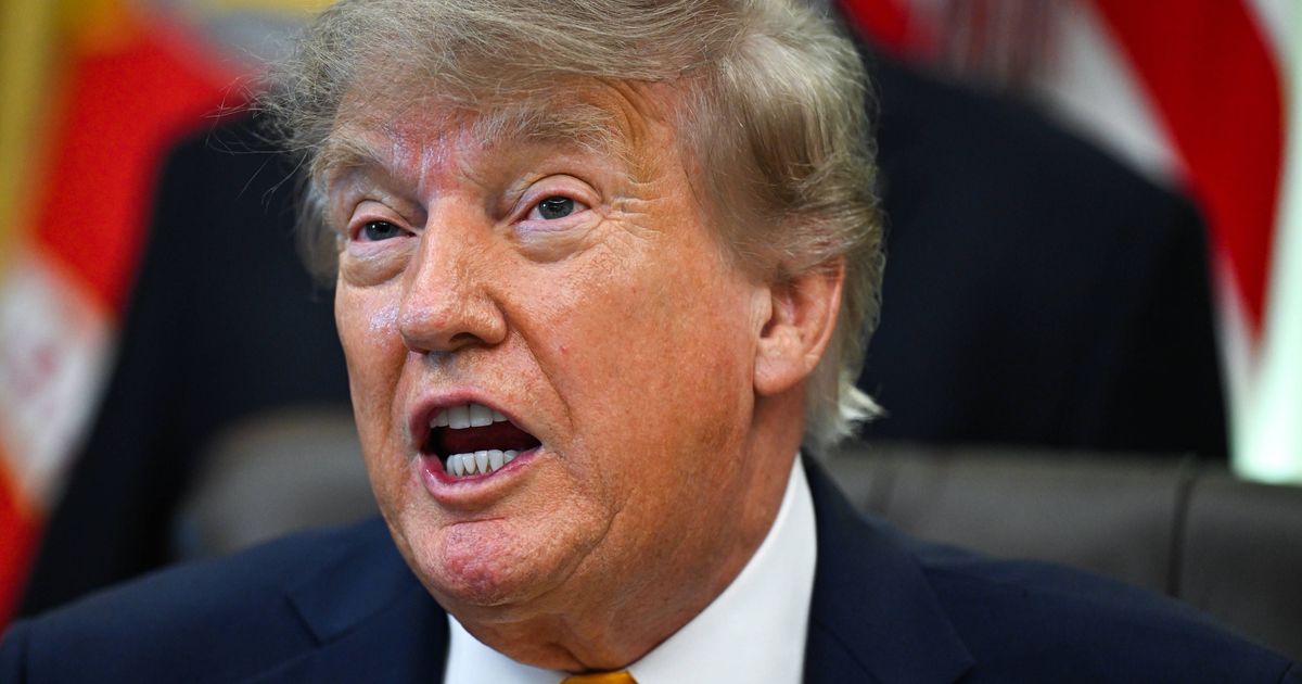 “Make Germany Great Again”: Trump and Musk follow up on the AfD - | Moscow ...
