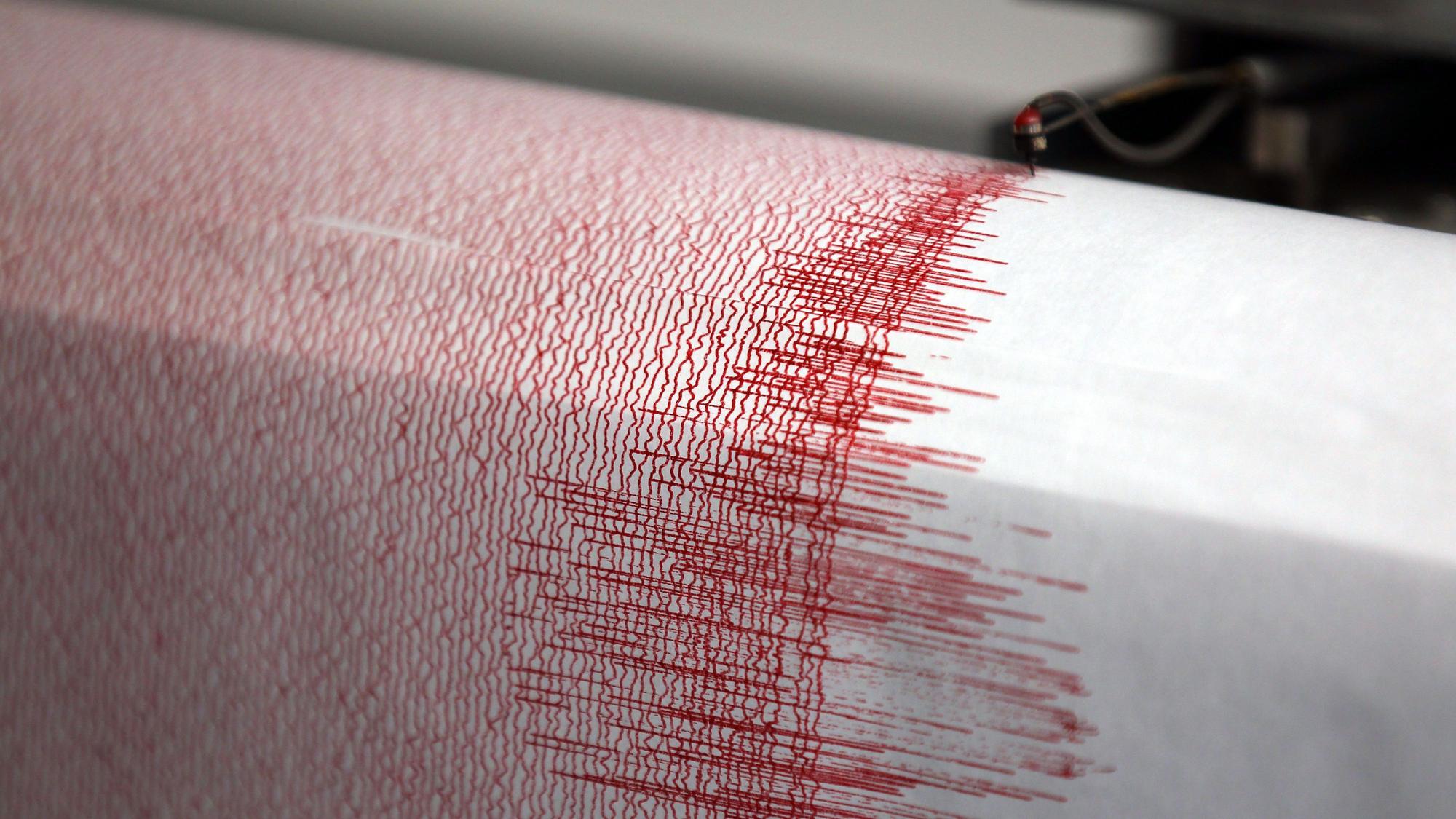 In der Region Mannheim/Worms hat es ein Erdbeben gegeben (Symbolbild eines Seismographen).