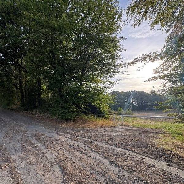 Auf dem Bild sind ein Feldweg und Pferdeanhänger zu sehen.