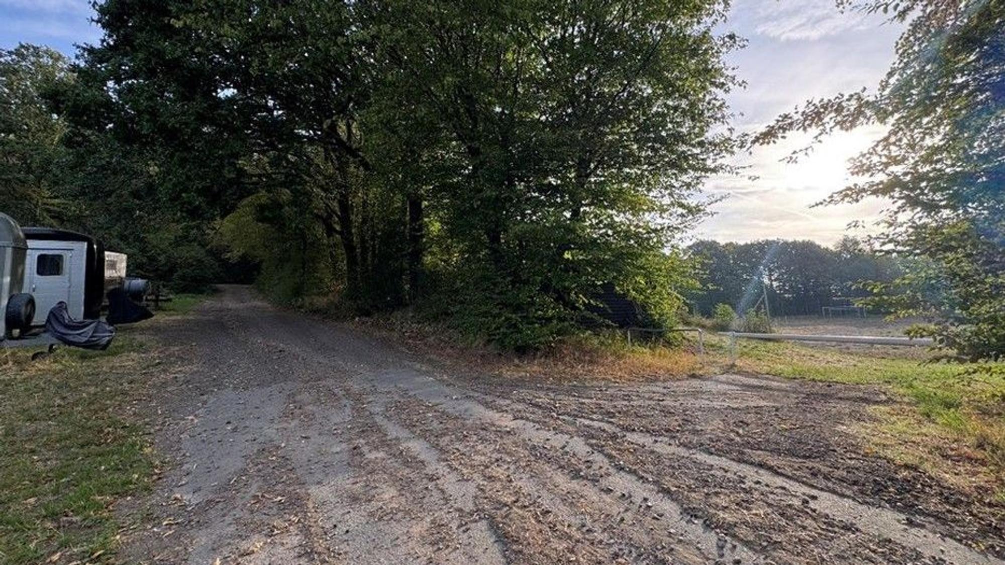 Auf dem Bild sind ein Feldweg und Pferdeanhänger zu sehen.