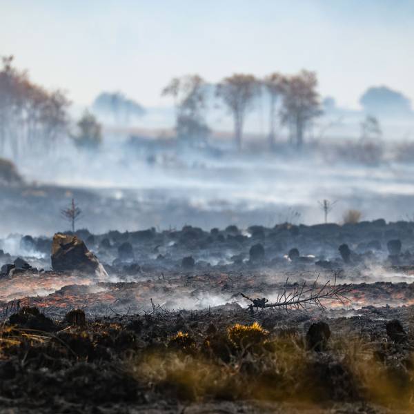 Rauch über der verbrannten Landschaft am Ort des Brandes im Naturschutzgebiet Hohes Venn.