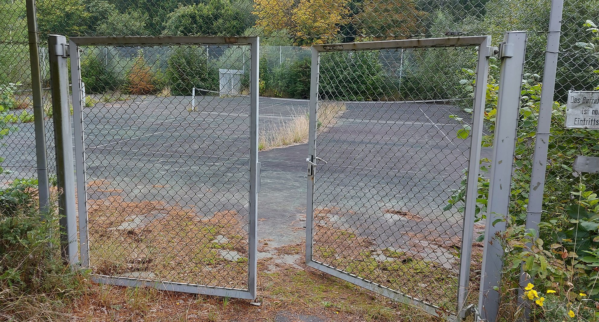 Das Foto zeigt einen maroden Tennisplatz, auf dem das Gras wächst.