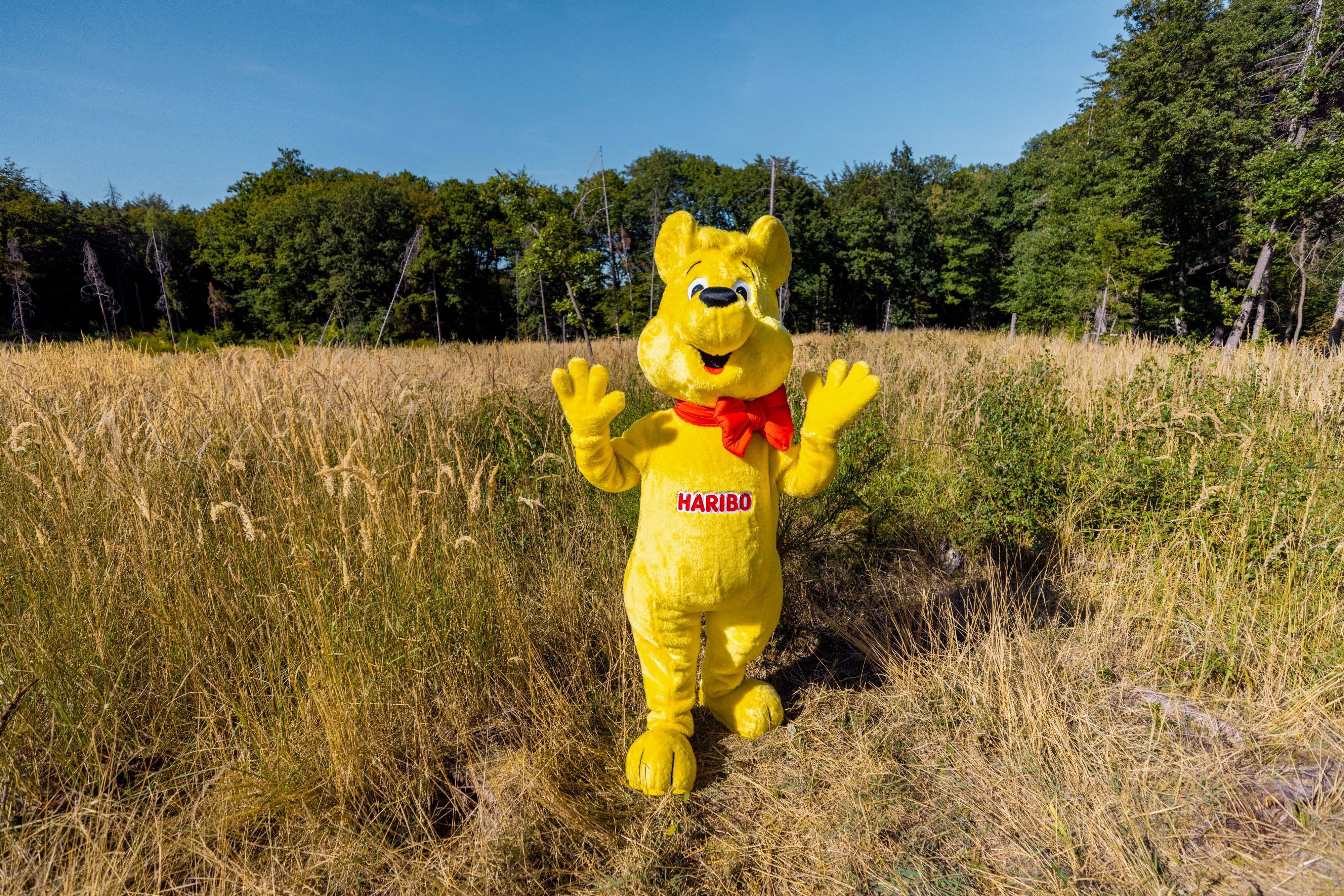 Ein Haribo-Goldbär auf der Waldfläche im Ahrtal, die das Unternehmen aufforsten möchte.