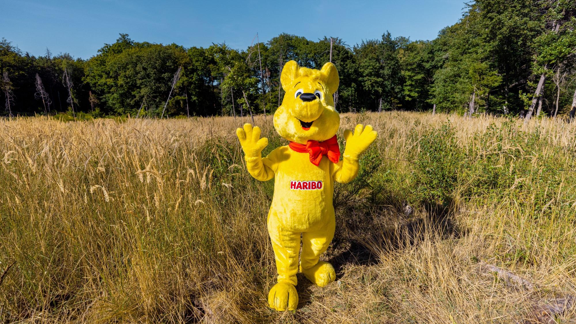Ein Haribo-Goldbär auf der Waldfläche im Ahrtal, die das Unternehmen aufforsten möchte.