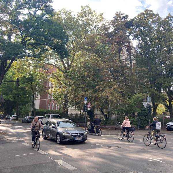 Kerpener Straße/Ecke Weyertal in Köln-Lindenthal: Unter den grünen schattigen Bäumen fahren viele Kölnerinnen und Kölner zur Arbeit oder zur Universität. Wenn die Semesterferien vorbei sind, ist die Straße noch deutlich mehr befahren.