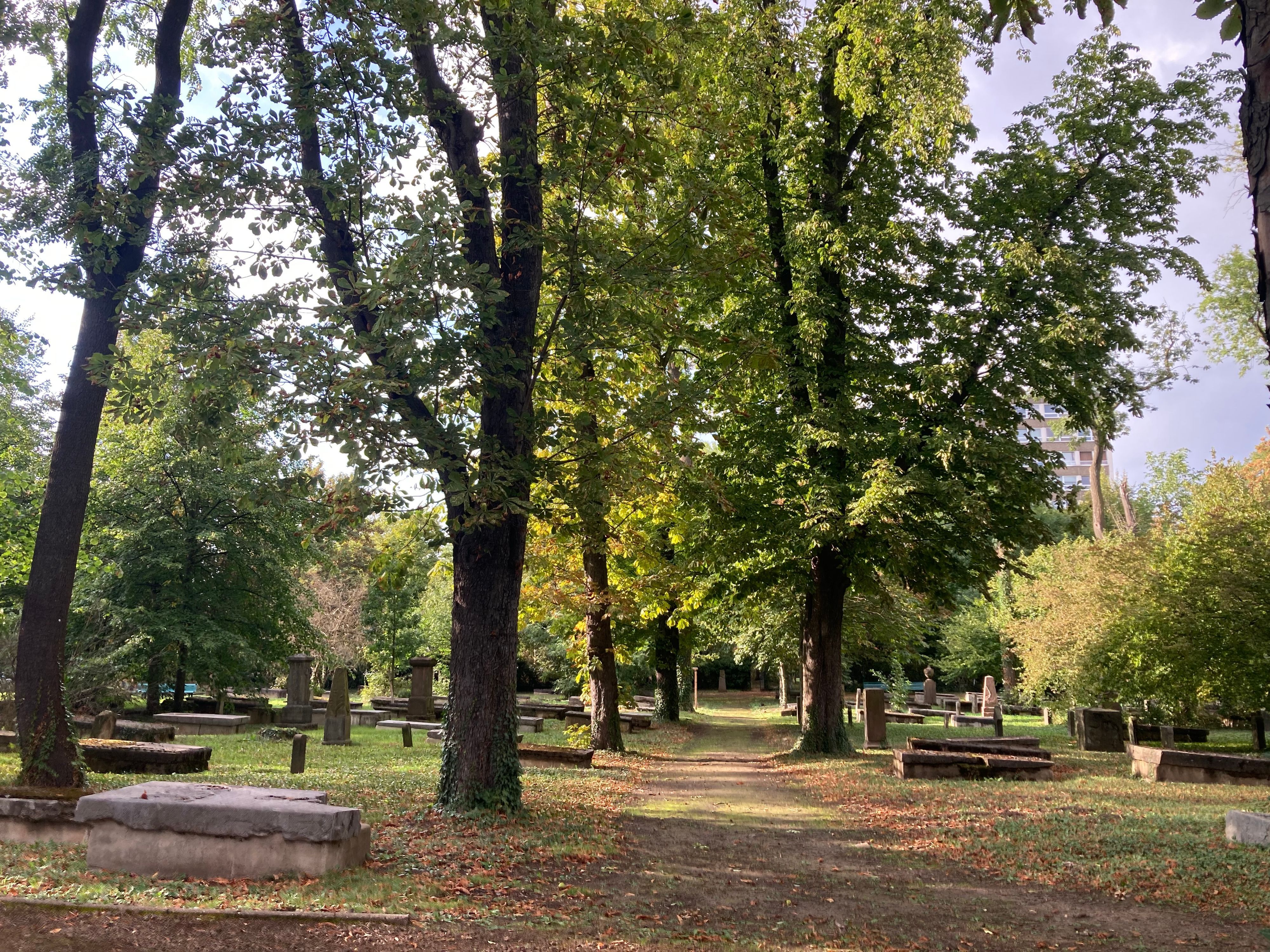 Der versteckte Geusenfriedhof ist der älteste Friedhof im Rheinland, Grabdenkmäler reichen bis ins 16. Jahrhundert zurück.