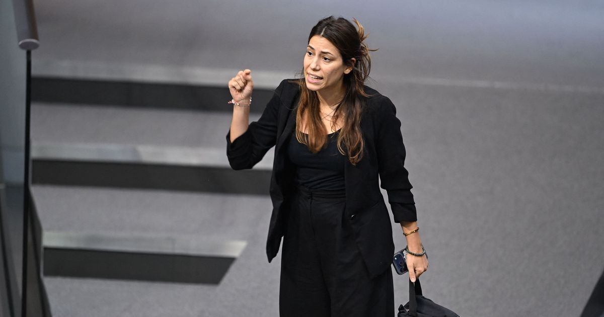“Stop! Stop! Stop! Stop! Stop!”: Scandal in the Bundestag - | AfD speech ...