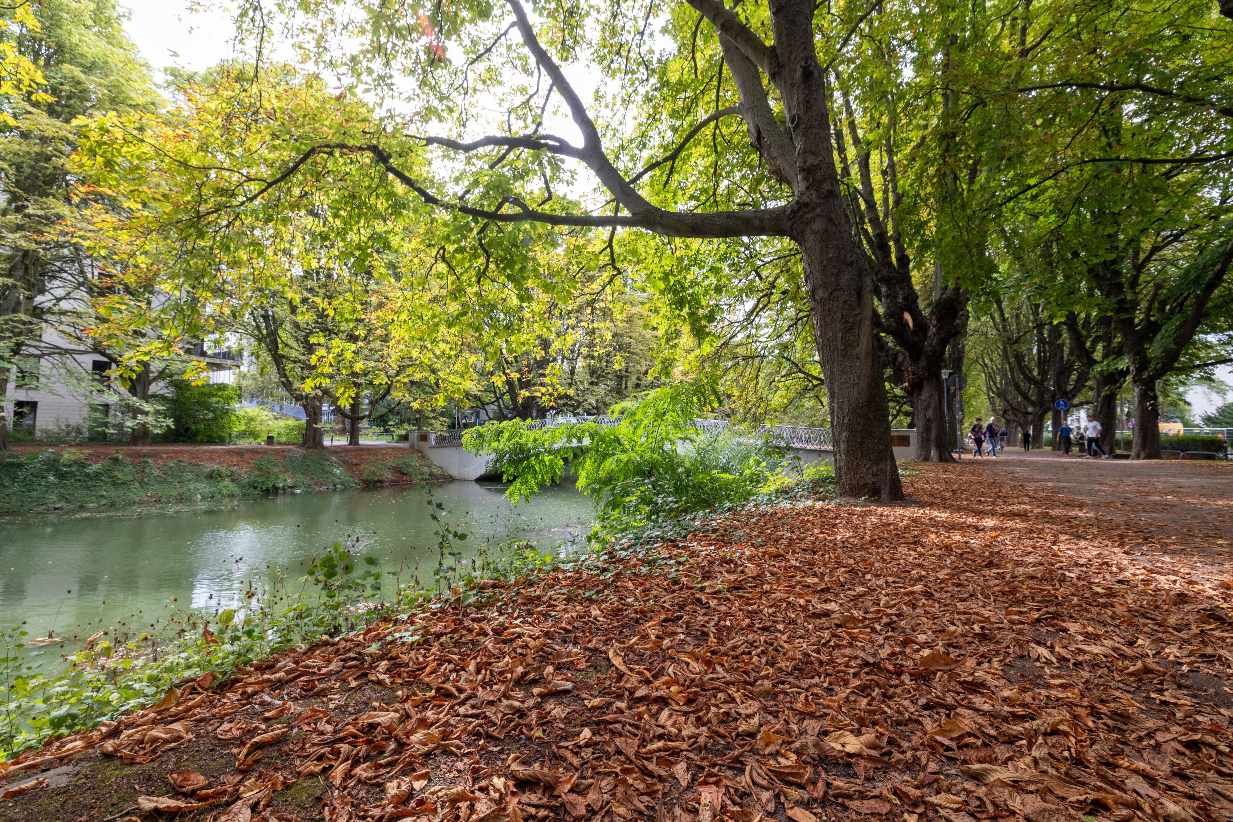 Durch die Trockenheit sieht Rautenstrauch-Kanal in Lindenthal schon jetzt aus wie im Oktober.