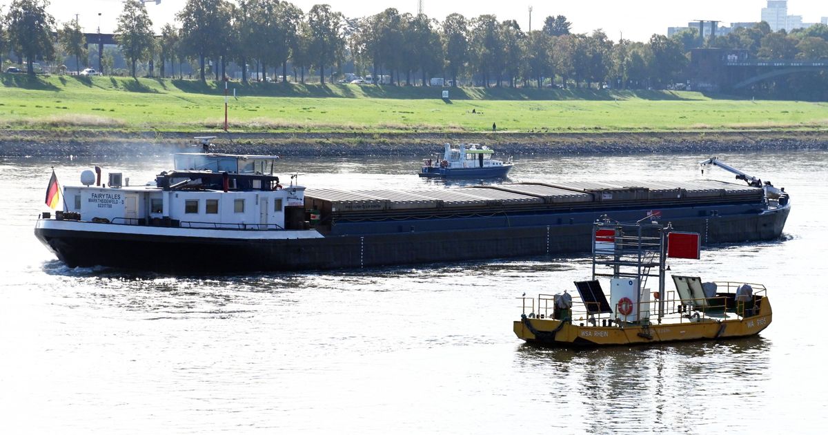 Kölner Pegel sinkt: Frachtschiff bleibt in Köln stecken – Verkehr ...