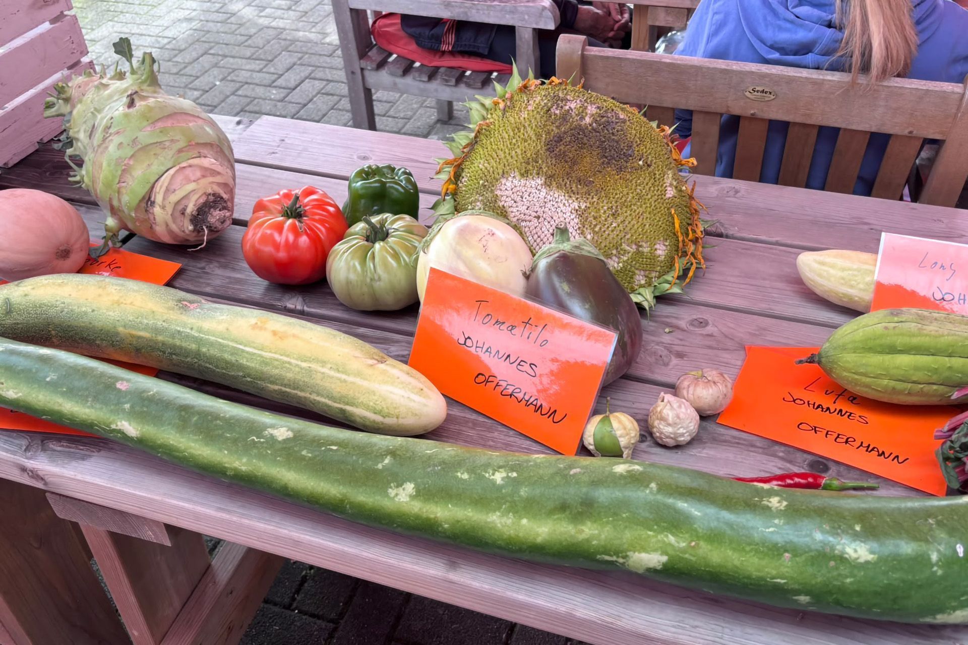 Bei der Deutschen und nordrhein-westfälischen Riesengemüse-Meisterschaft traten auch gewaltige Zucchini, Kohlrabi, Auberginen und andere Garten-Giganten an.