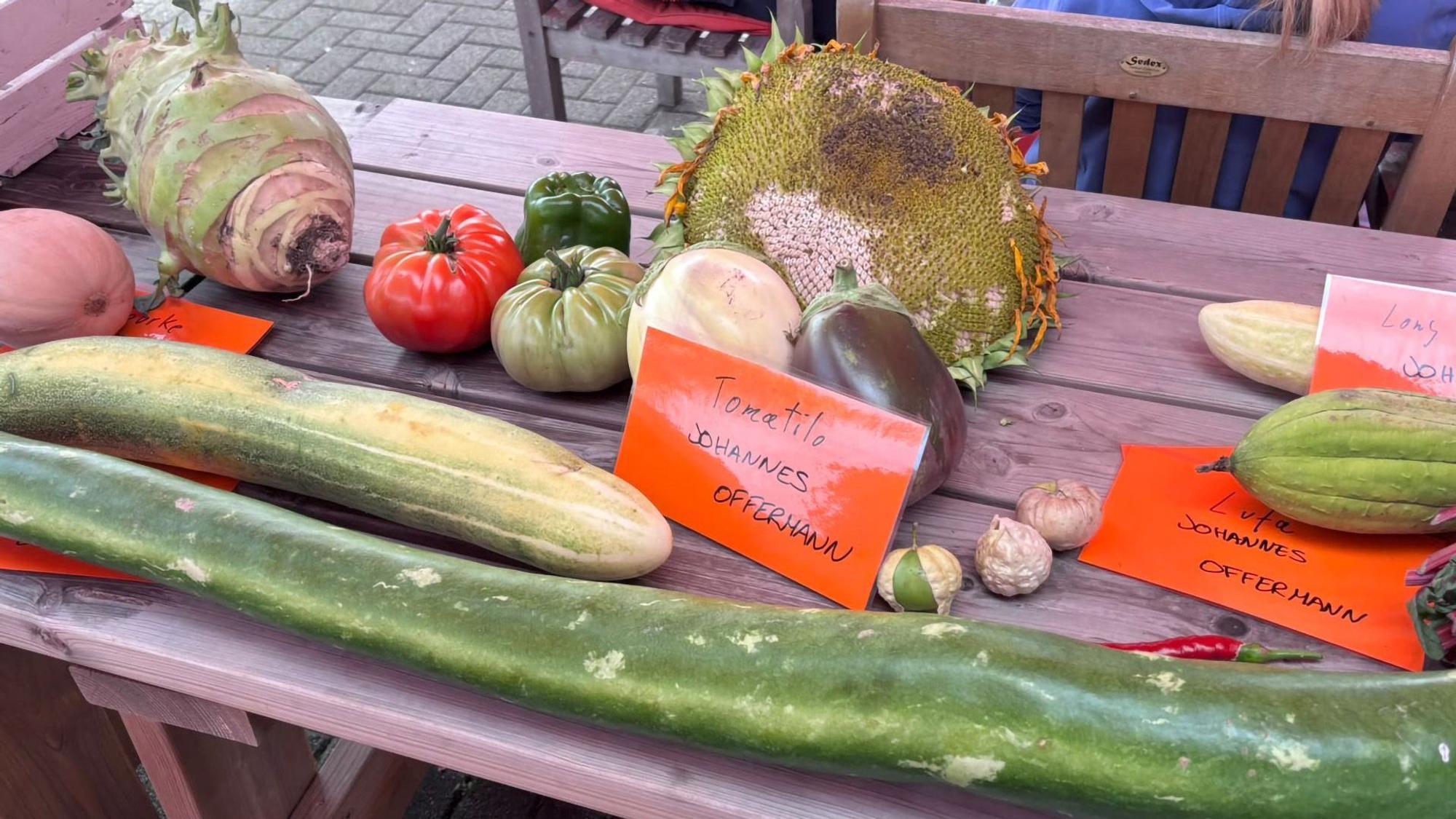 Bei der Deutschen und nordrhein-westfälischen Riesengemüse-Meisterschaft traten auch gewaltige Zucchini, Kohlrabi, Auberginen und andere Garten-Giganten an.