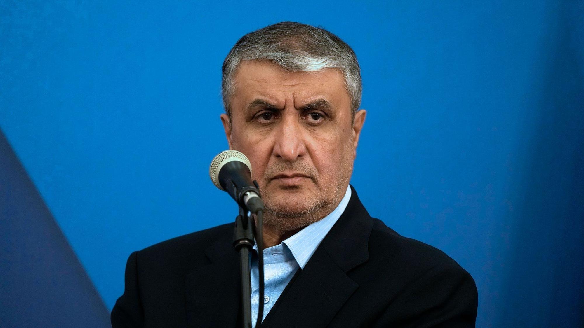 Irans Atomchef Mohammed Eslami