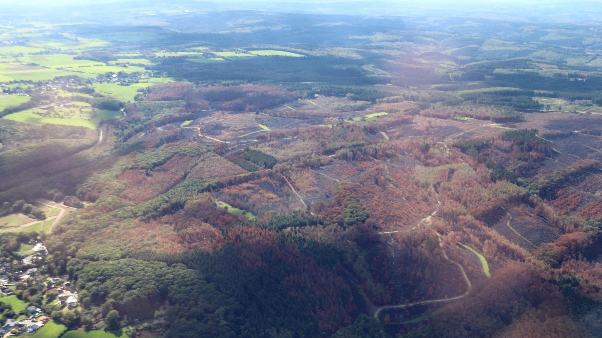 Zerstörung nach den Waldbränden im Hürtgenwald