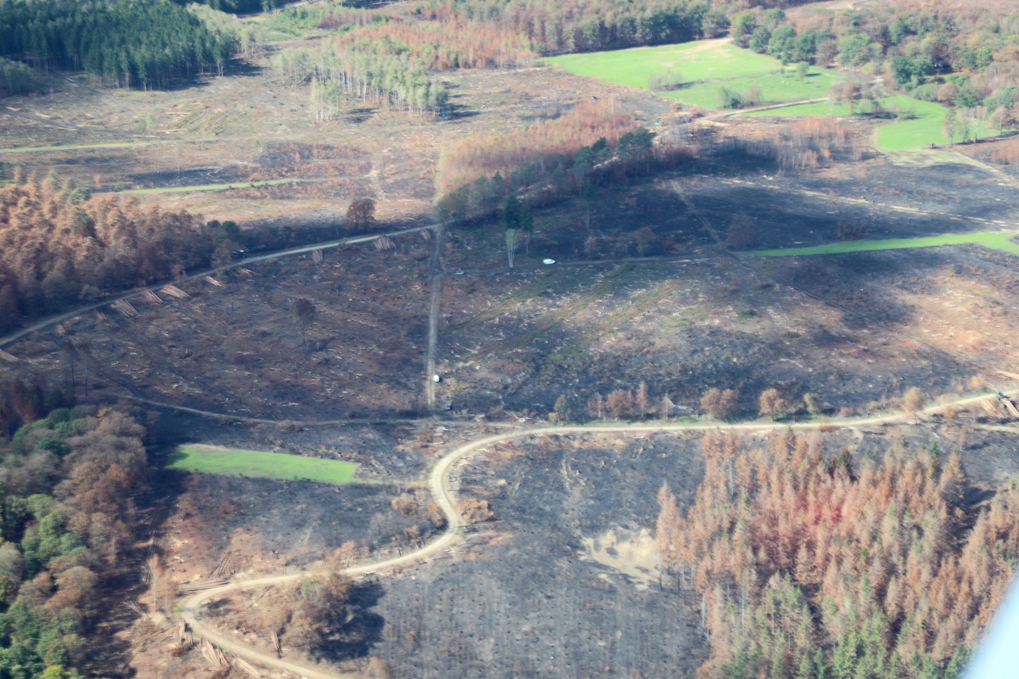 Zerstörung nach den Waldbränden im Hürtgenwald