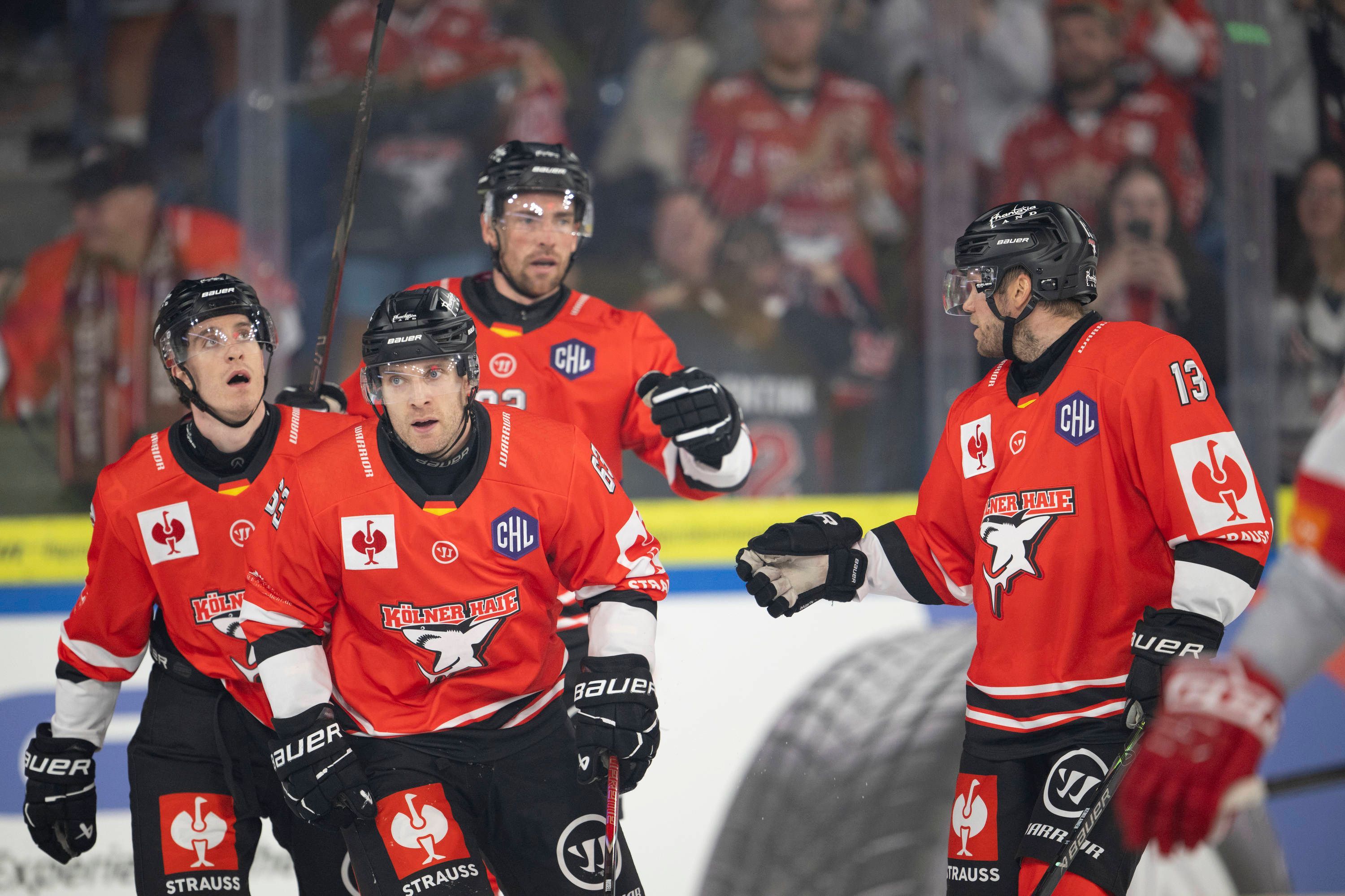 Die Spieler der Kölner Haie auf dem Eis.