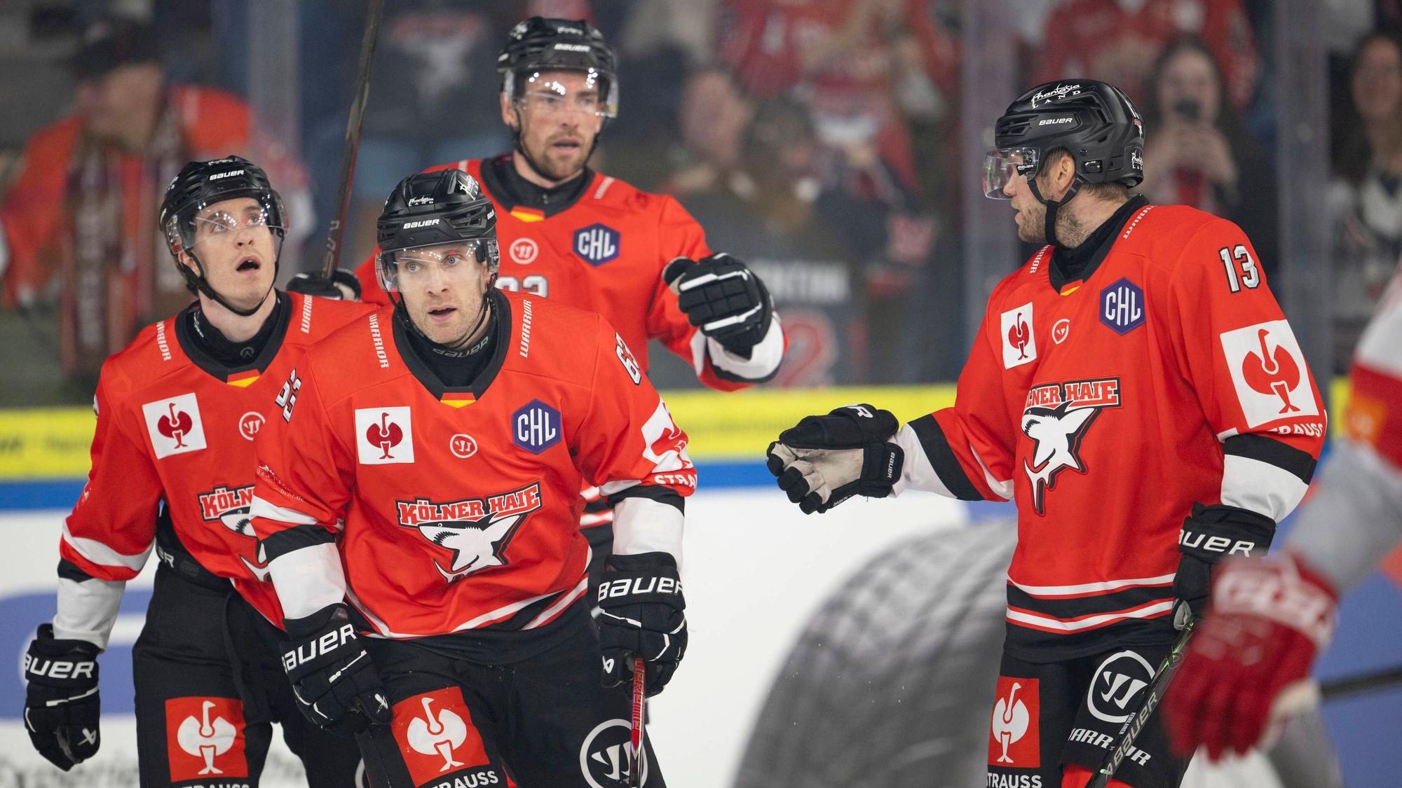 Am Freitag beginnt für den KEC die neue Saison in der DEL. Bisher befinden sich die Haie in starker Frühform.