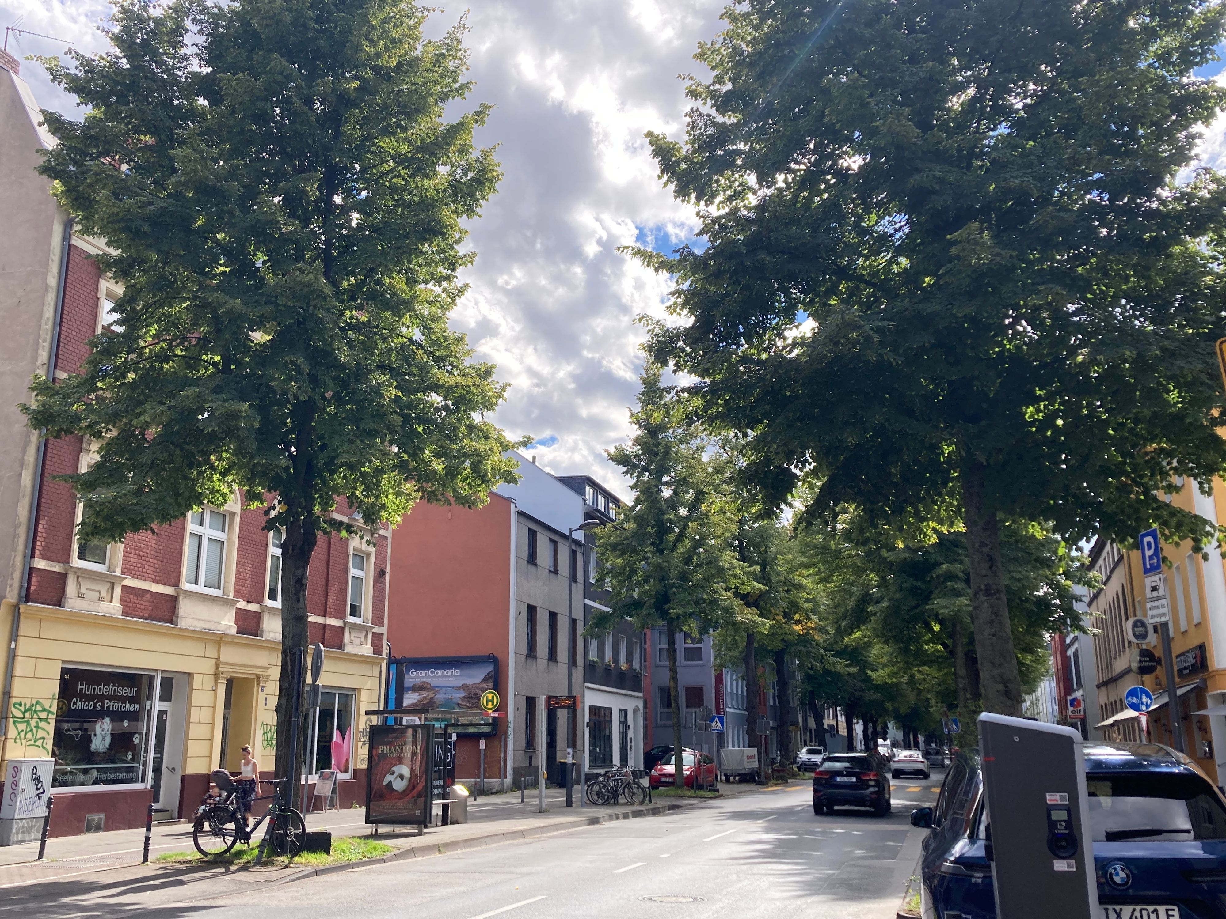 Ein Blick in die Brühler Straße, gesäumt von Geschäften und Wohnhäusern.
