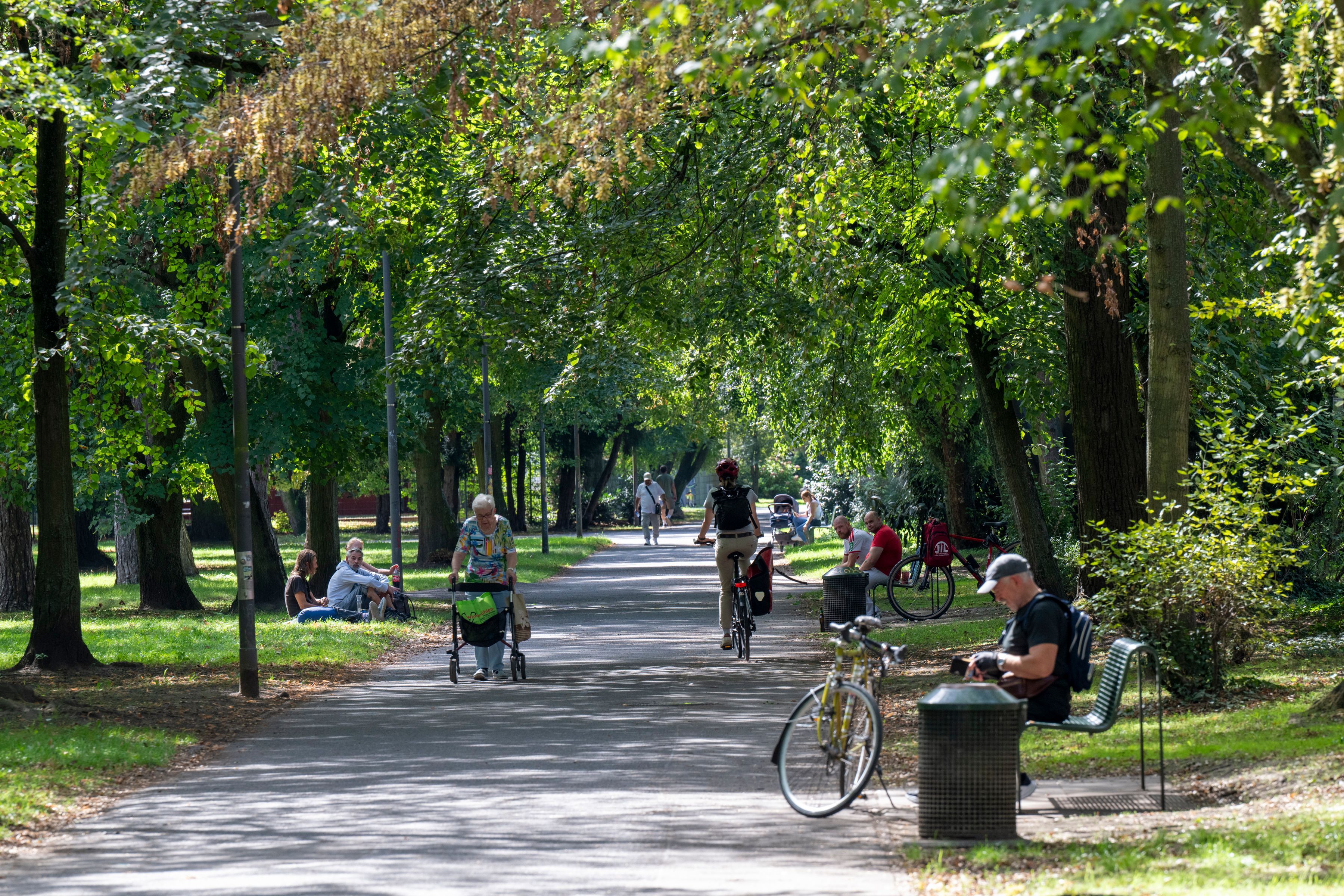 In Köln-Mülheim genießen die Menschen einen Sommertag: Im Park ist es kühler als auf baumlosen Straßen.