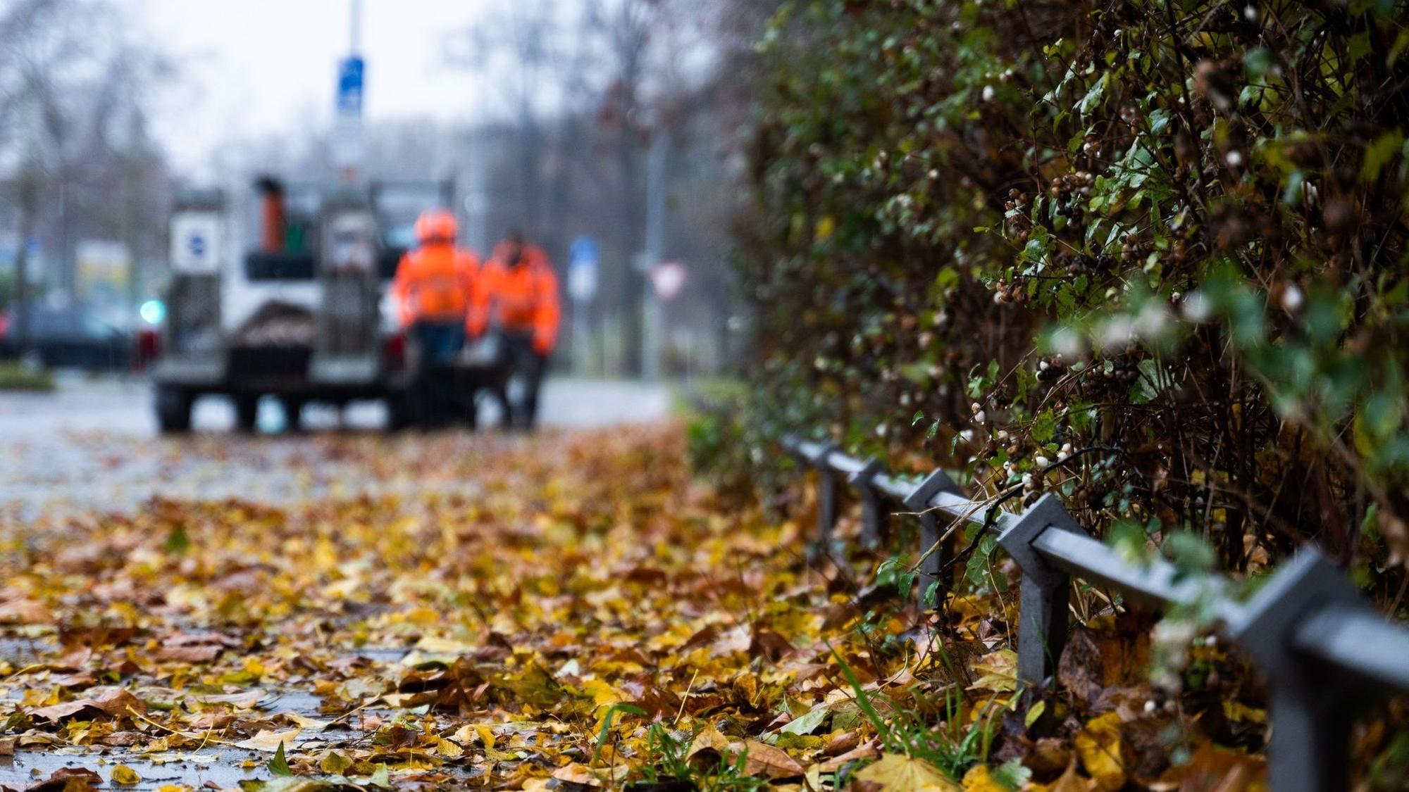 Regnerische Herbsttage