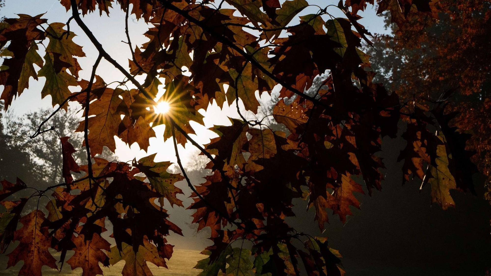 Was der Herbst mit unserem Körper macht