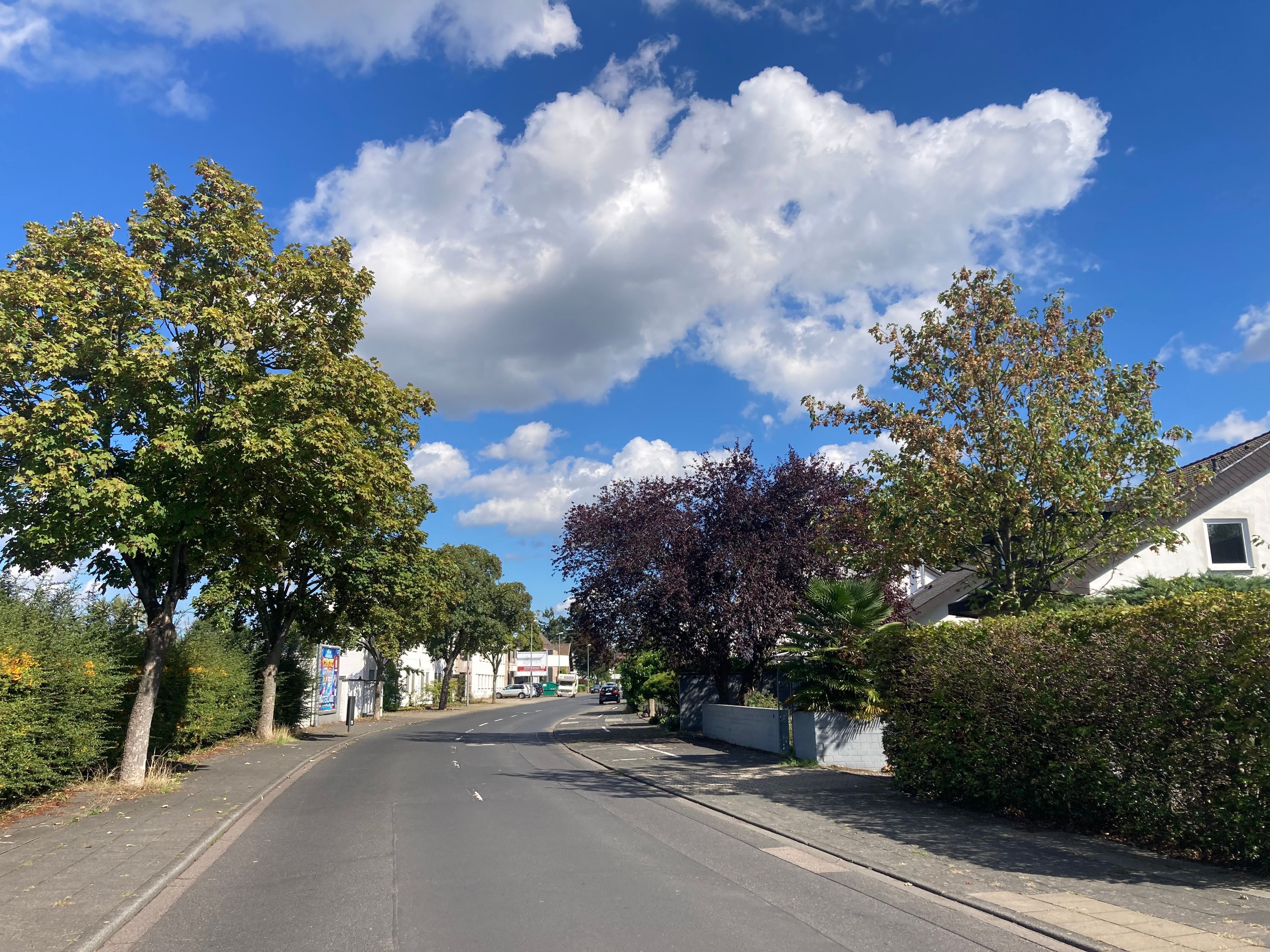 Gut einen halben Kilometer ist die Wesselinger Straße in Köln-Sürth lang.