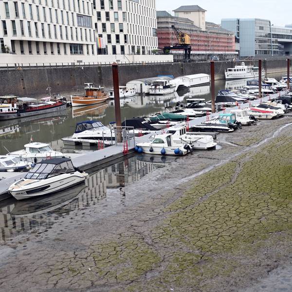 Boote im Kölner Rheinauhafen liegen auf dem Trockenen.