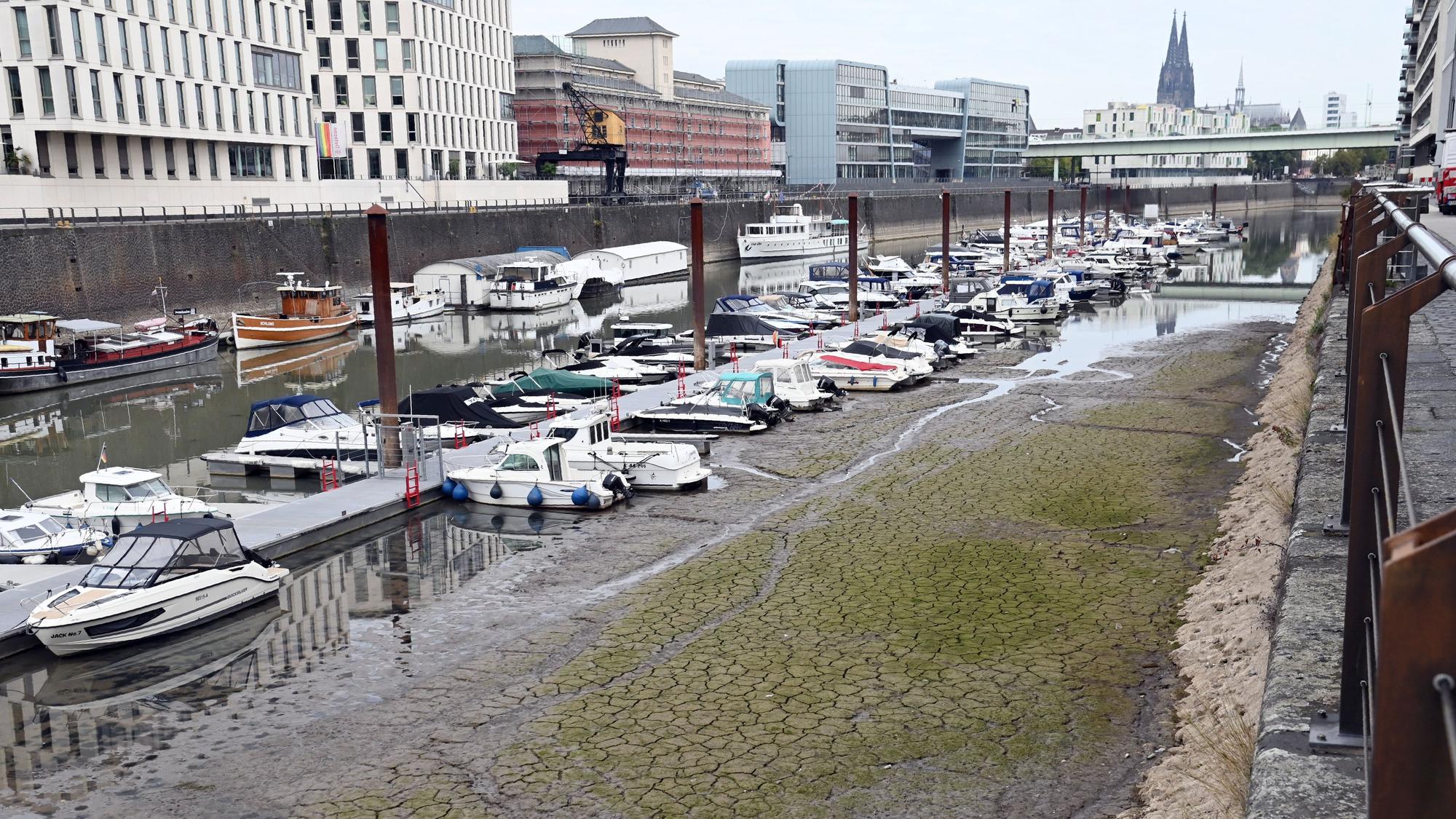 Boote im Kölner Rheinauhafen liegen auf dem Trockenen.