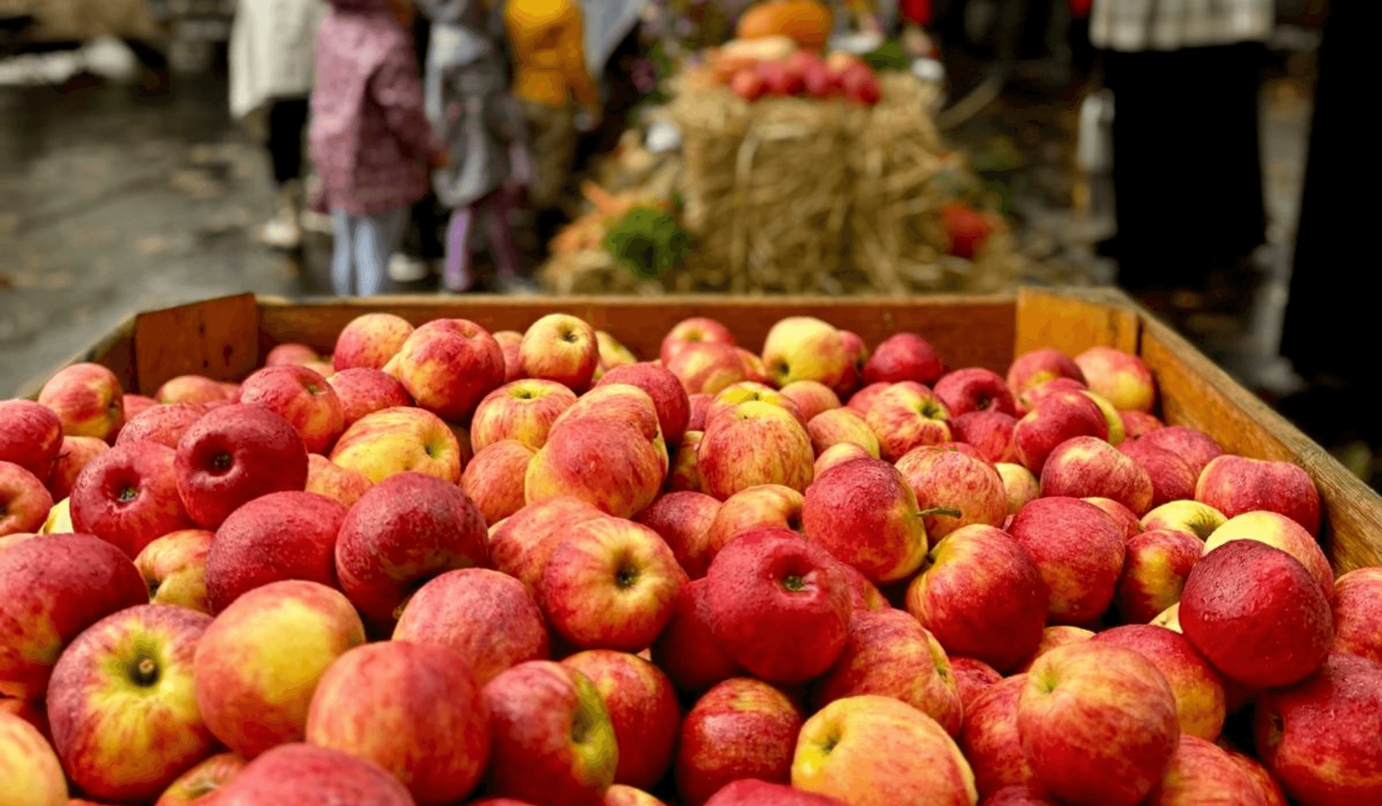 Rote, goldgelbe Äpfel liegen in einer Holzkiste an einem Wochenmarktstand.