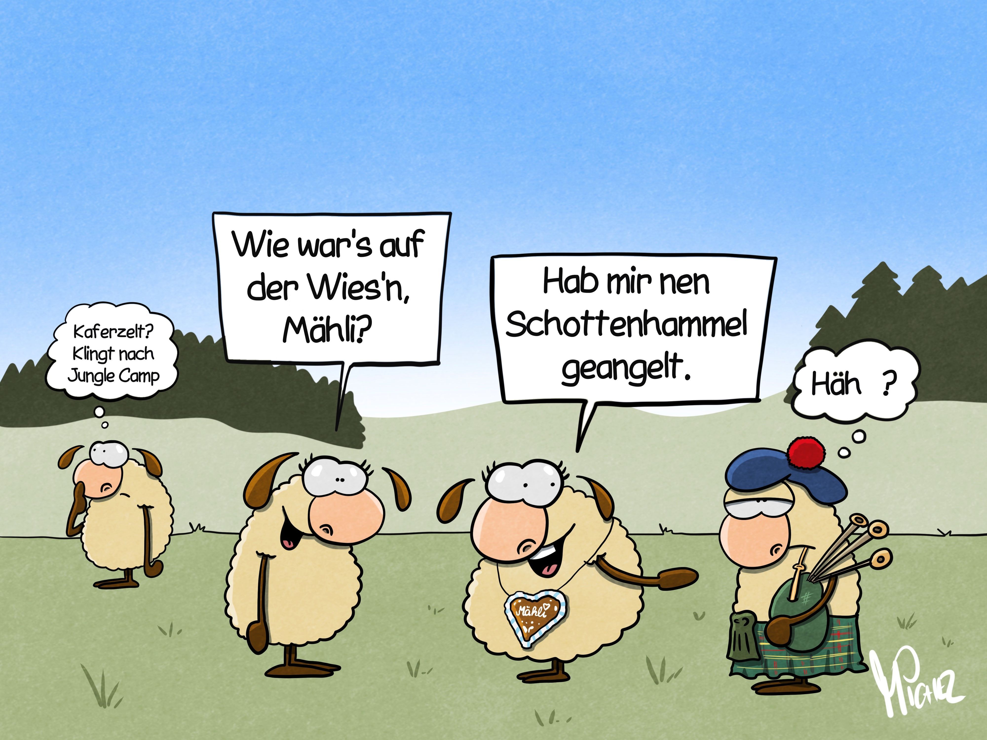 Vier Schafe stehen auf einer Wiese. Ein Schaf fragt ein anderes: „Wie war's auf der Wies'n, Mähli?“ Diese hat ein Lebkuchenherz um den Hals, zeigt auf ein Schaf im Schottenrock und sagt: „Hab mir nen Schottenhammel geangelt.“ Ein anderes Schaf im Hintergrund denkt: „Käferzelt? Klingt nach Jugle Camp.“