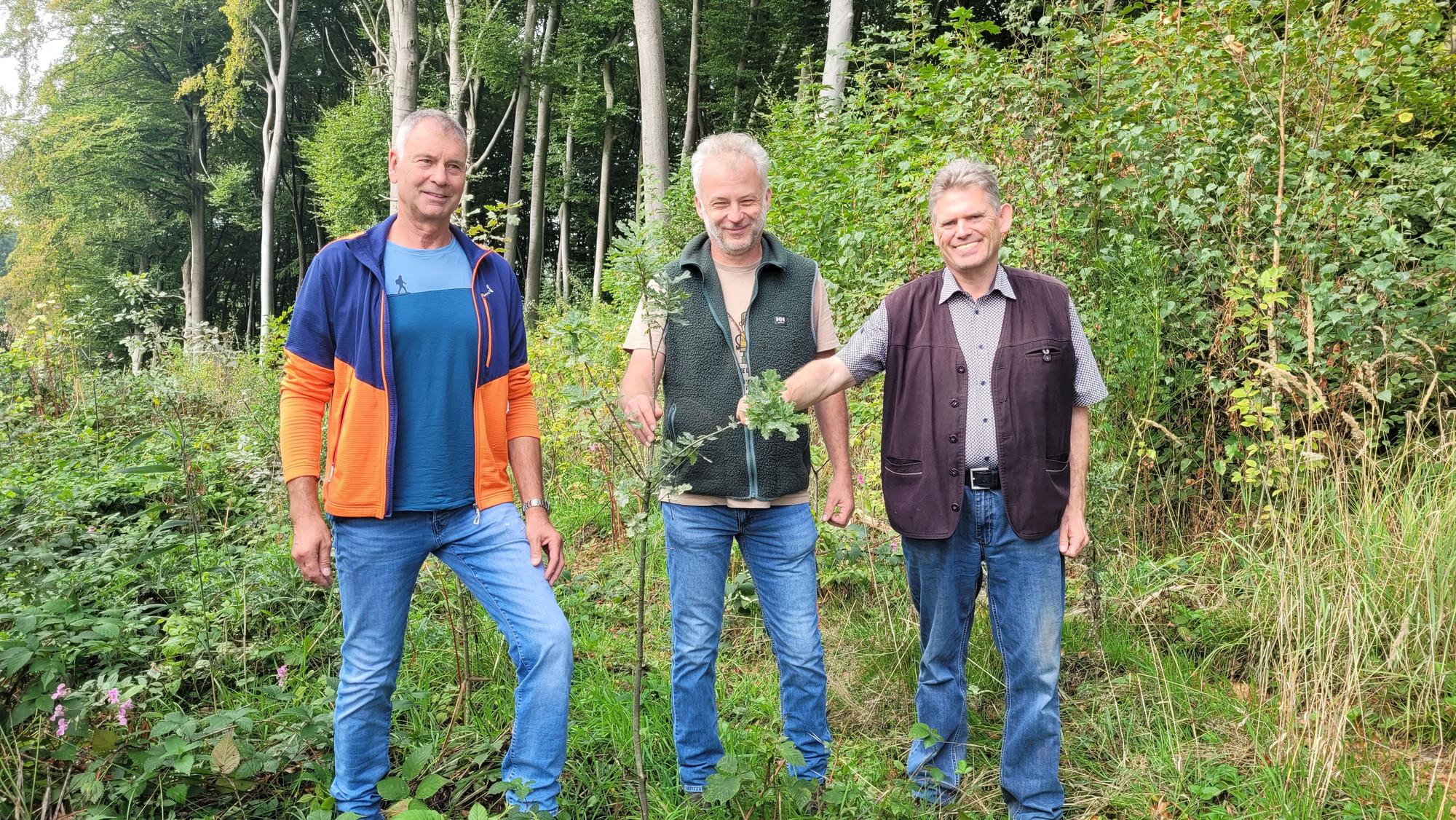 Kürtener Forstbetriebsgemeinschaft: Aufforstung im Dürschtal bei Spitze mit (von links). Helmut Förster (St. Marien Kürten), Revierförster Frank Lürken und Michael Molitor als Vorsitzender der Forstbetriebsgemeinschaft Kürten