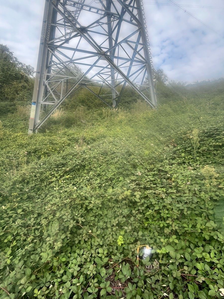 Eine sogenannte Kugelbombe liegt wenige Meter von einem Hochspannungsmast entfernt im Gras.