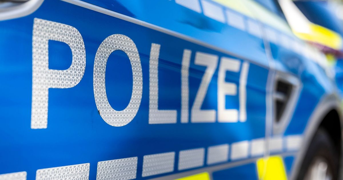 Police investigate: Spherical bomb defused at high-voltage pylon in ...