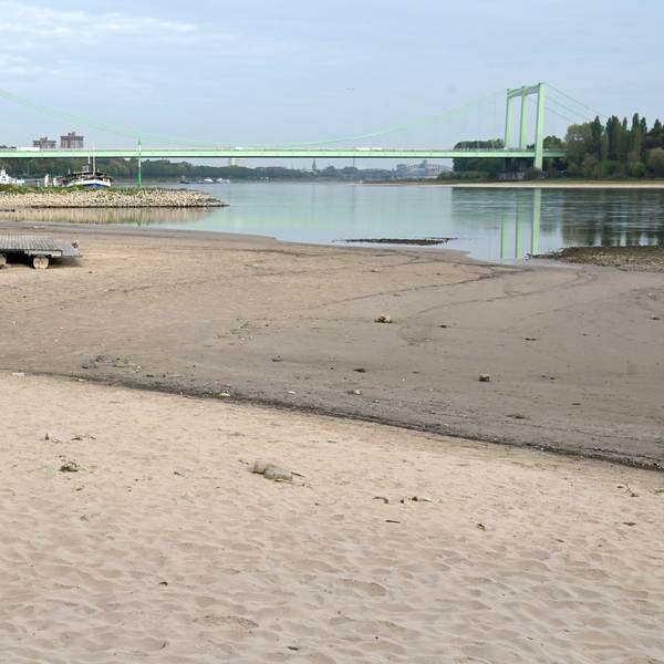Das seit Wochen herrschende Niedrigwasser des Rheins sorgt in Köln und Nordrhein-Westfalen erneut für Tiefstwerte.