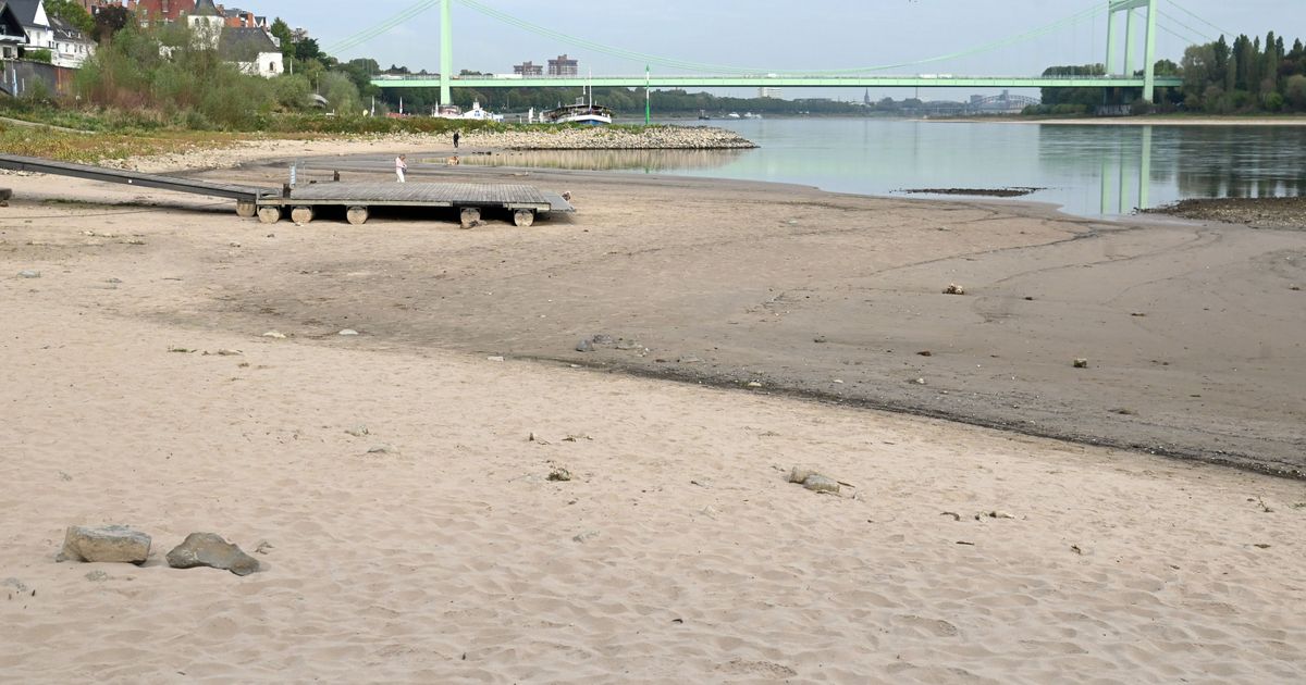 Neuer Rekord in Düsseldorf: Rhein-Pegel fällt in Köln erneut auf ...