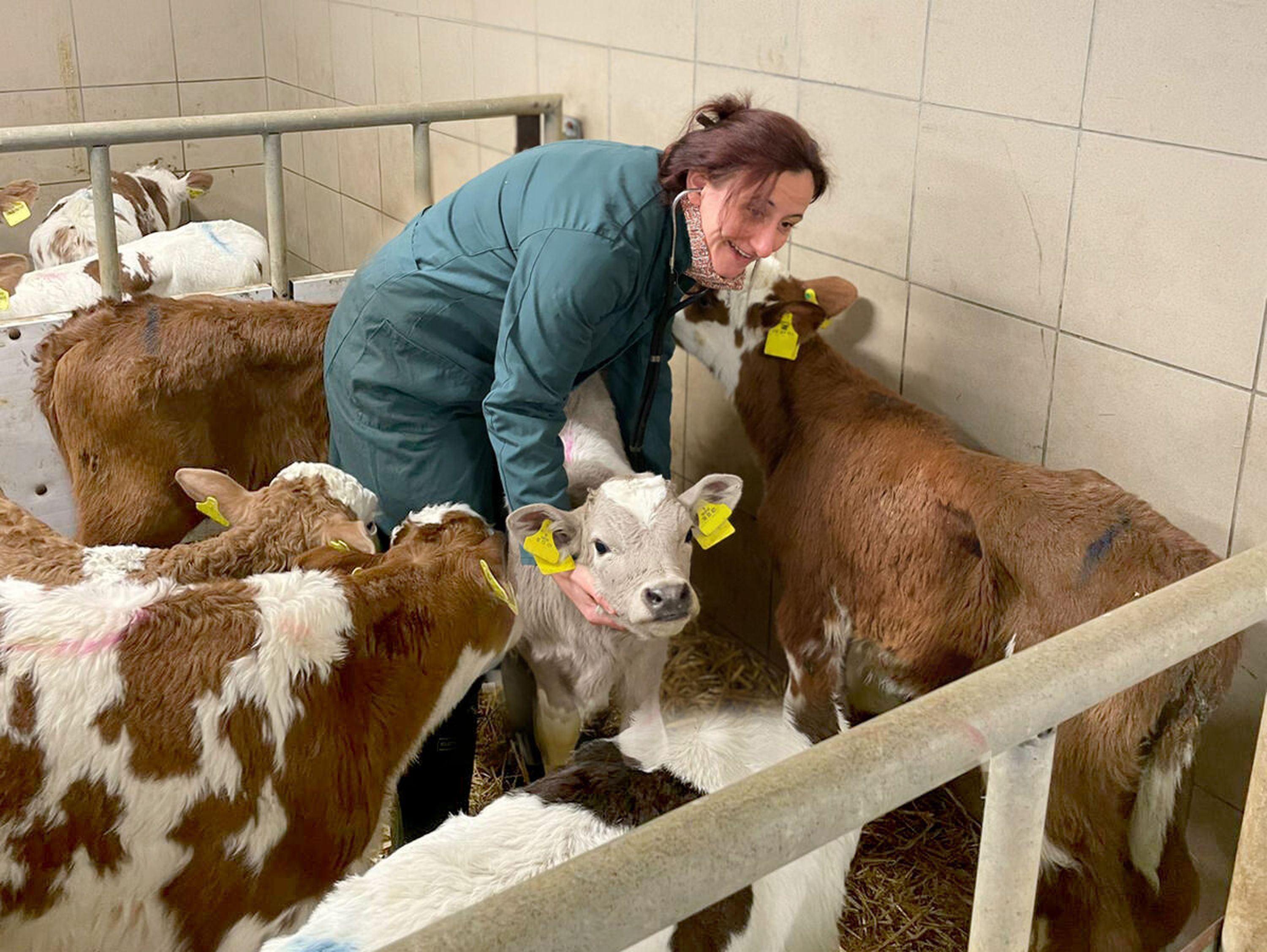 Silvia Berger ist die Leiterin des Veterionäramts des Rhein-Sieg-Kreises. Sie kümmert sich um alle Tiere, von Kuh bis Katz