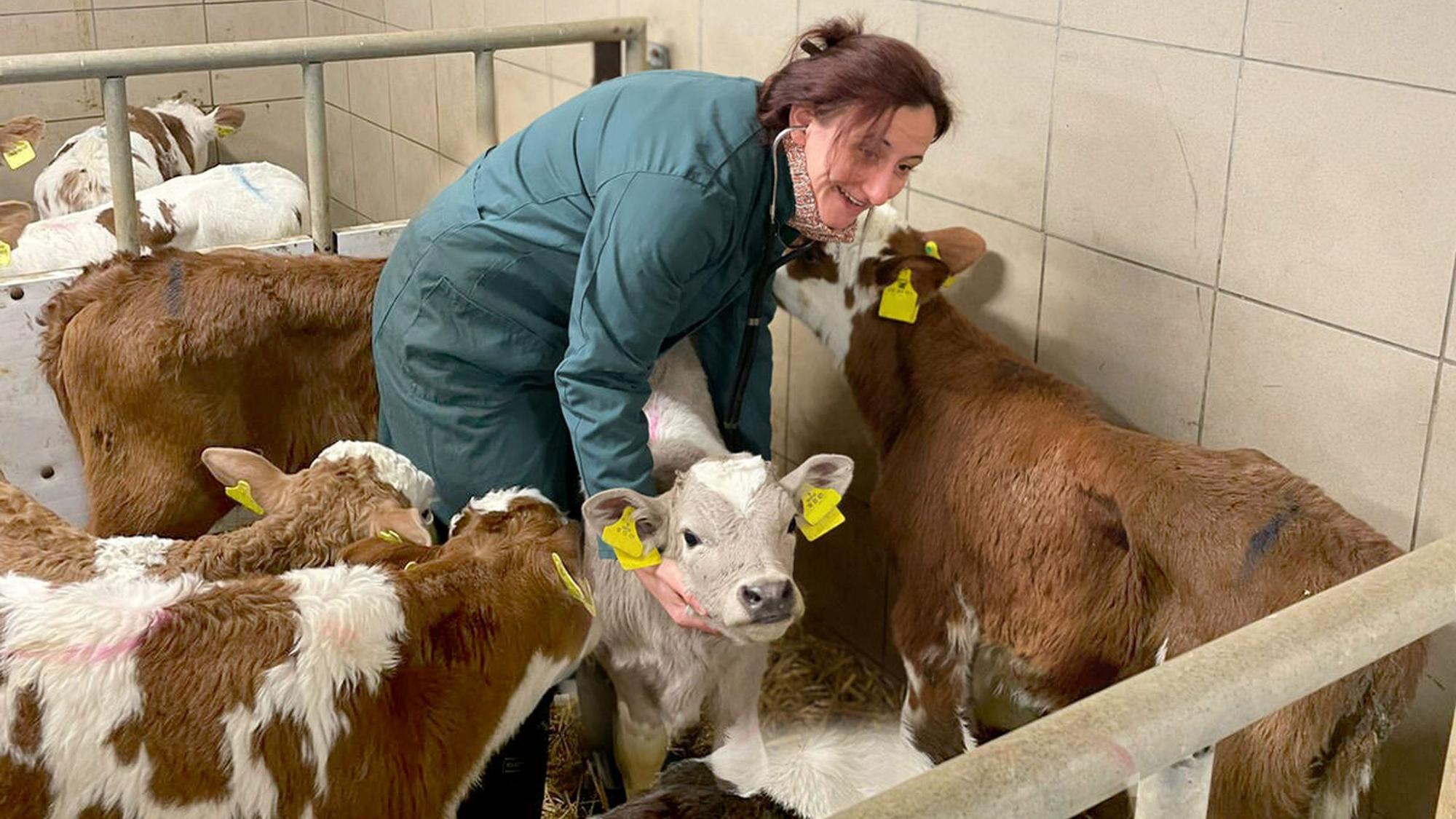 Silvia Berger ist die Leiterin des Veterionäramts des Rhein-Sieg-Kreises. Sie kümmert sich um alle Tiere, von Kuh bis Katz