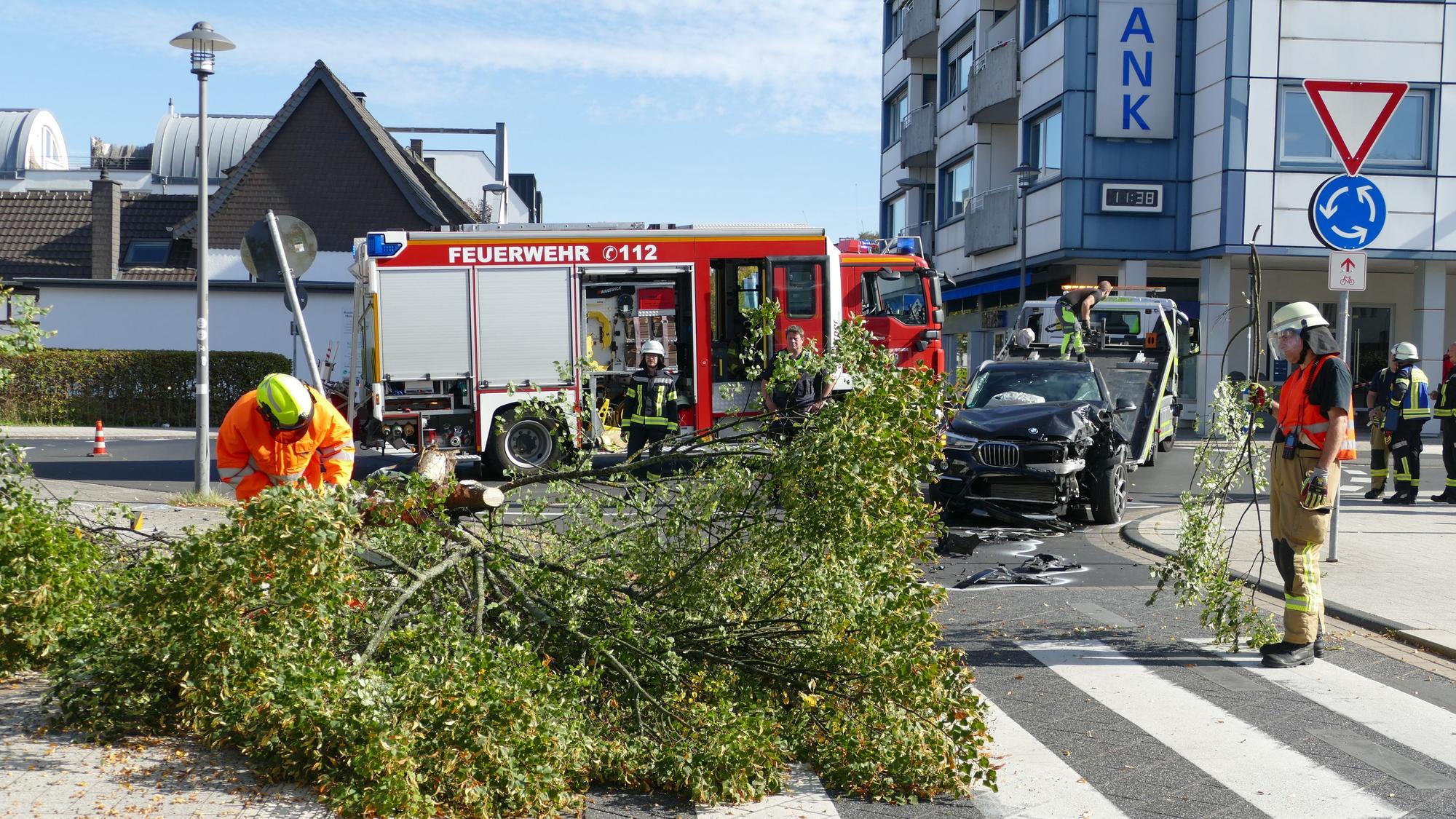 Die Feuerwehr zersägte den Baum, der infolge des Unfalls umgekippt war.