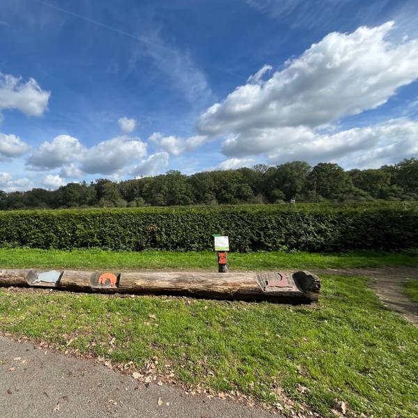 Ein langer Baumstamm liegt am Weg. Darauf sind mehrere Tierfiguren befestigt; dahinter stehen eine Hecke und ein Wald. Daneben weist ein kleines Schild auf die Station hin.