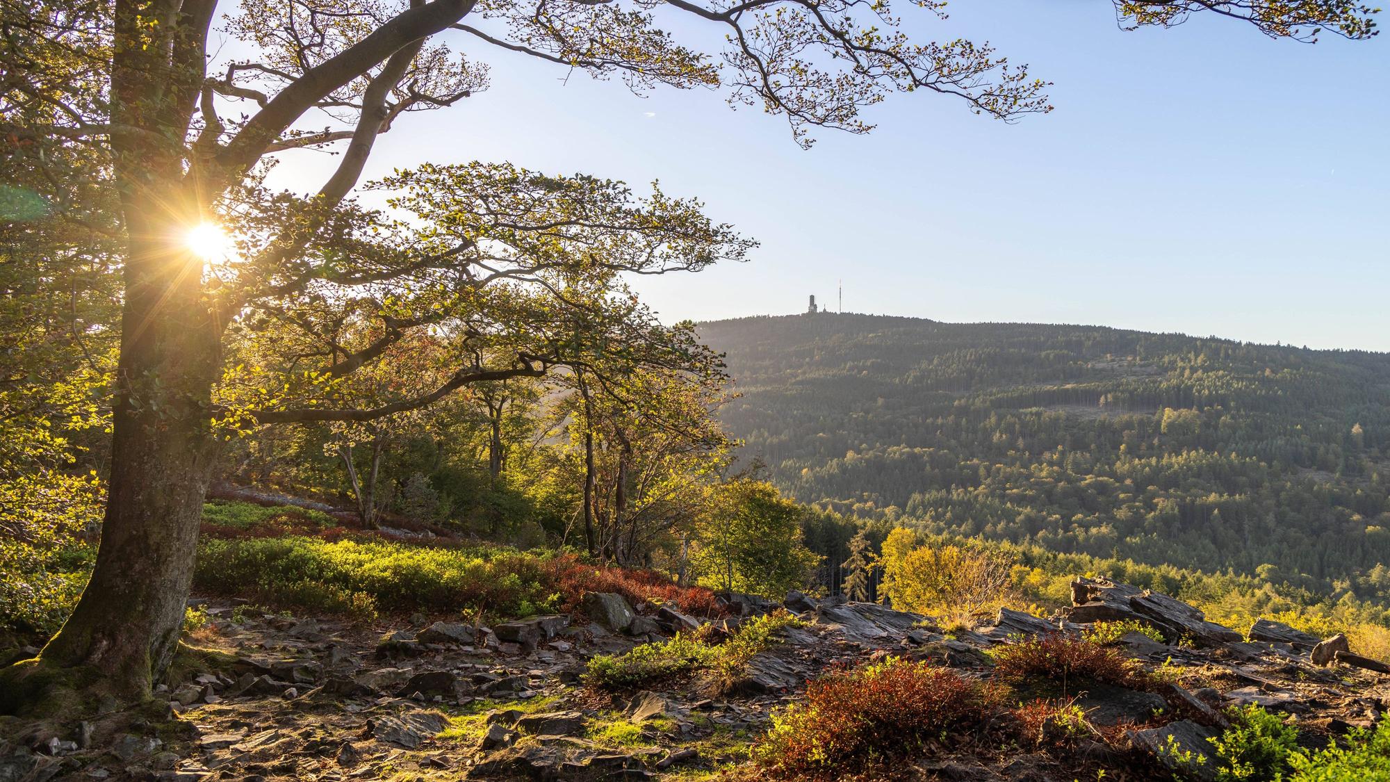 Die Sonne scheint an der Weißen Mauer im Taunus mit Blick zum Großen Feldberg.