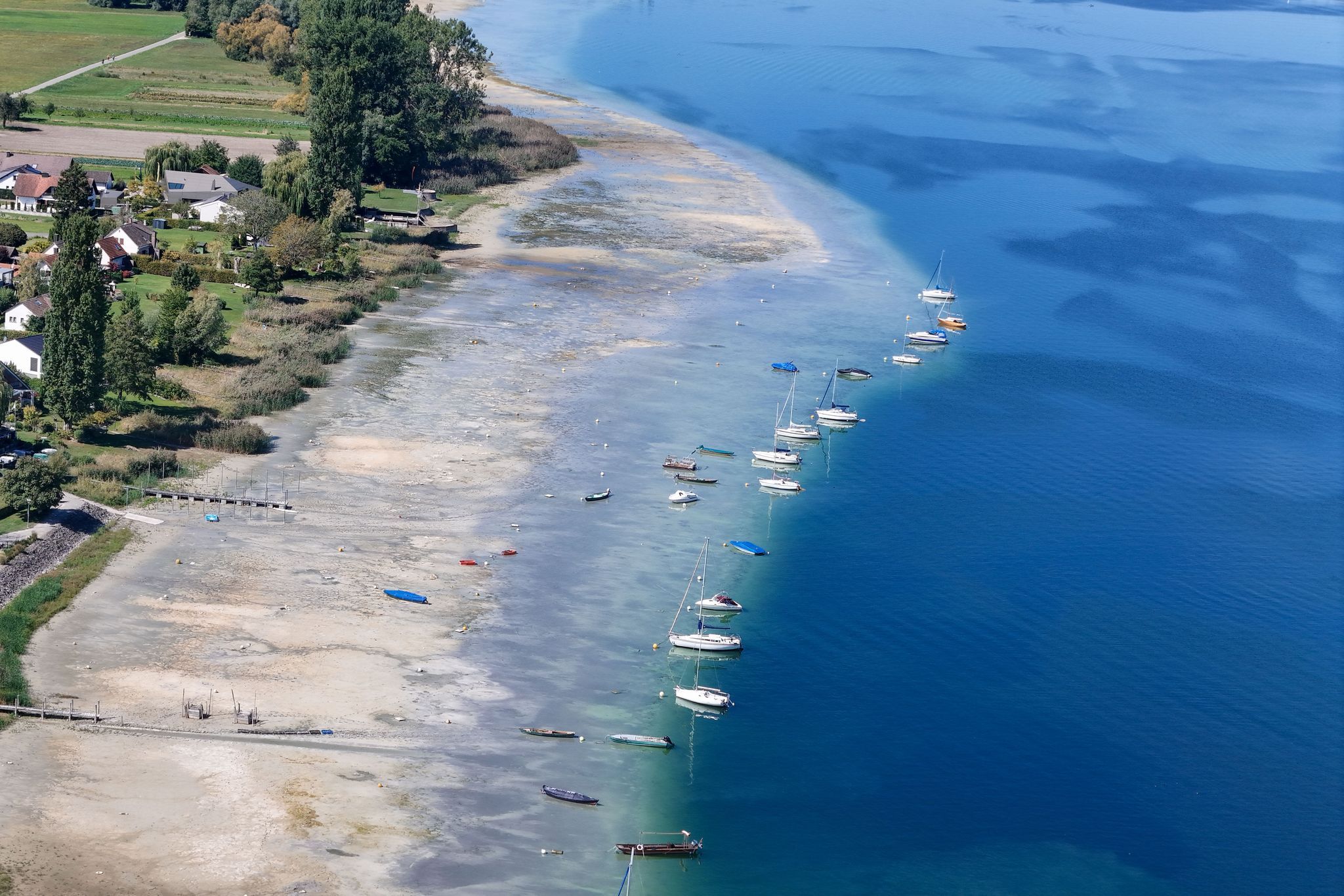 Spätsommer am Bodensee - Trockenheit