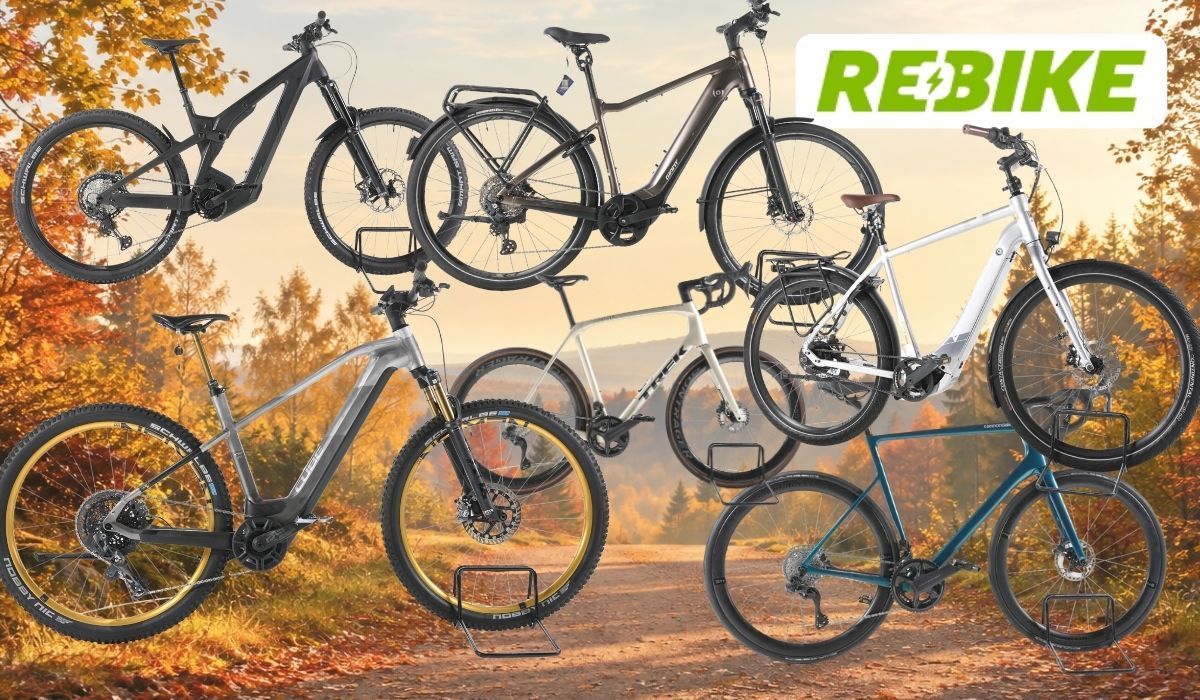 Collage mehrerer schwarzer, grauer, weißer und blauer E-Bikes und Fahrräder vor einem herbstlichen Waldweg; oben rechts ist das Rebike-Logo zu sehen.