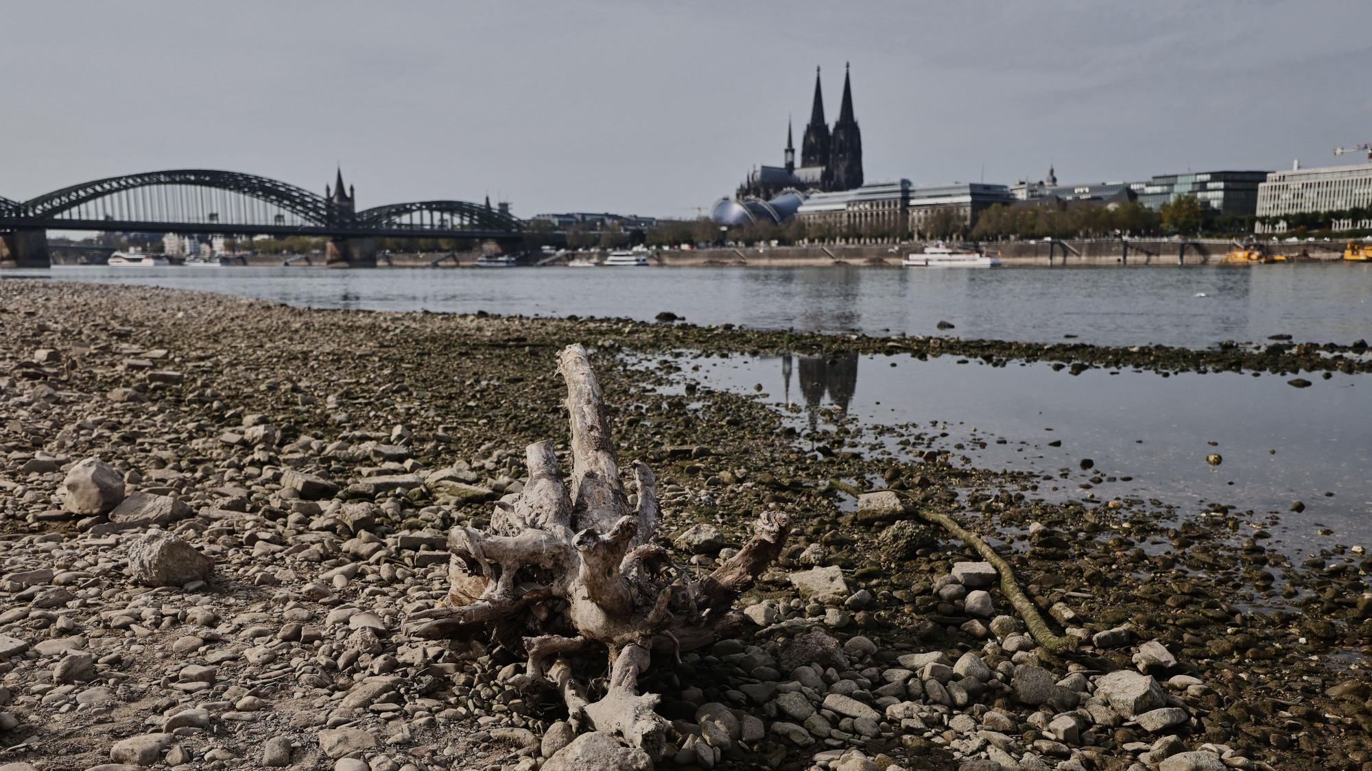Der Dom spiegelt sich am Rheinufer in Köln im Wasser. Die außerordentlich niedrigen Pegelstände am Rhein erschweren den Schiffsverkehr weiter.
