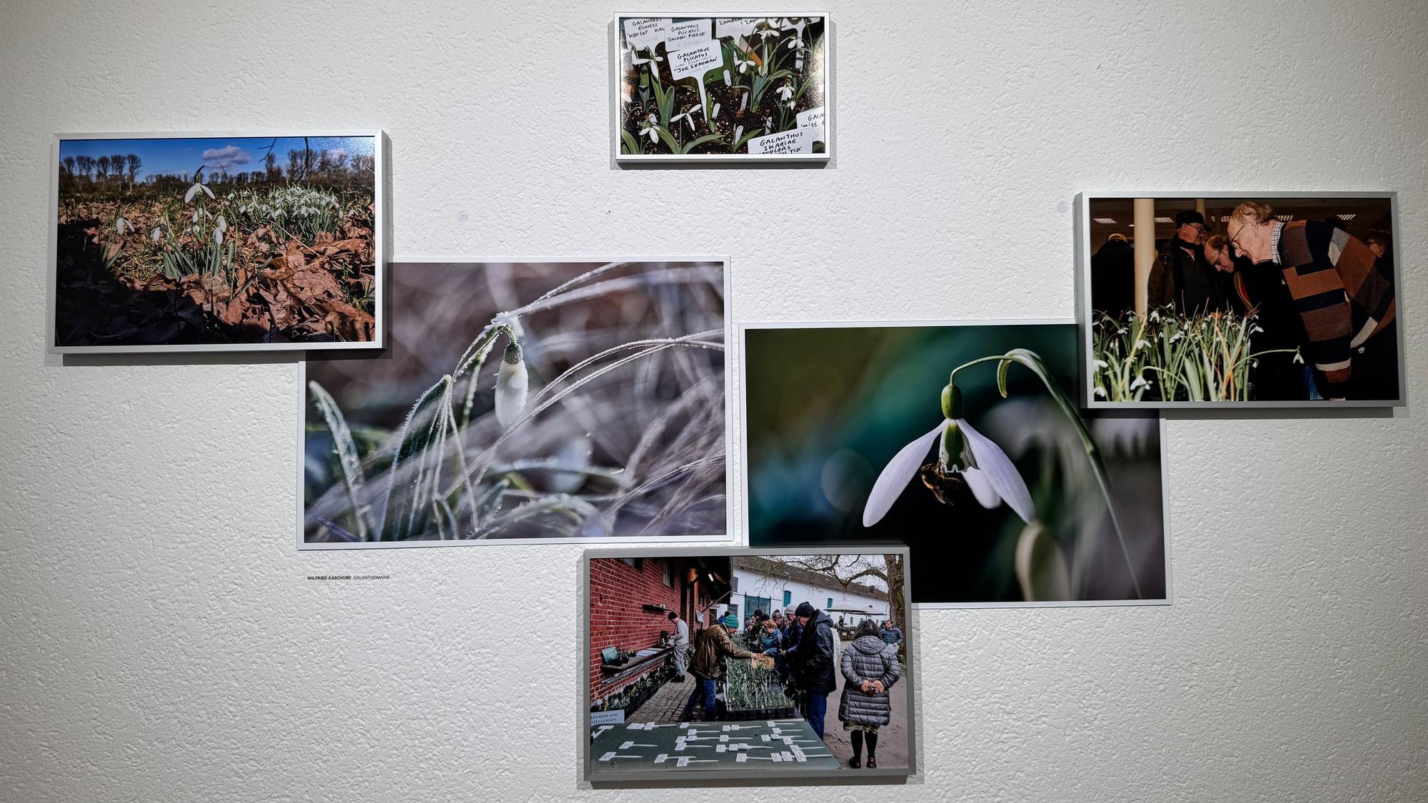 Fotos an einer Wand