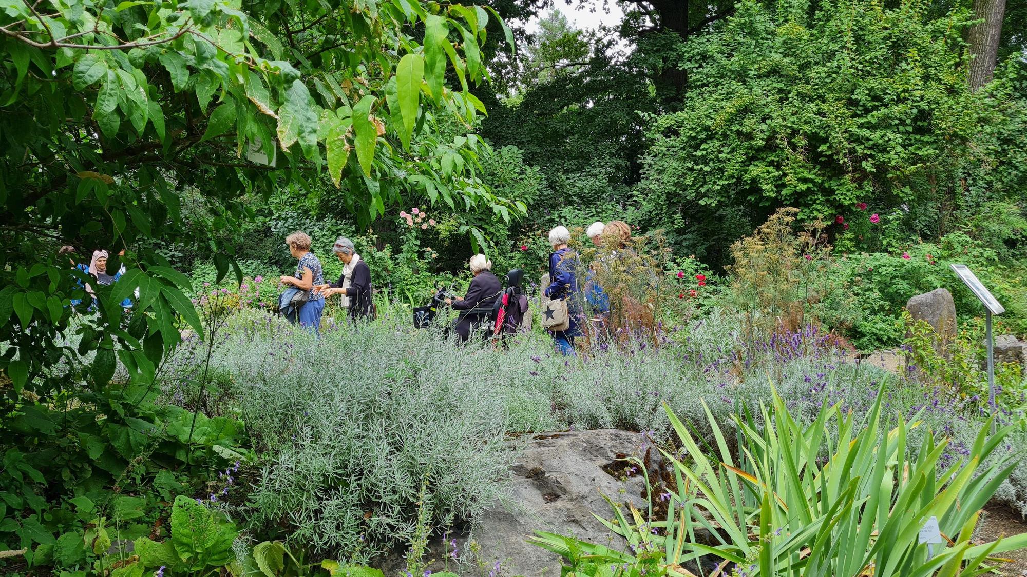 Im Duftgarten des Botanischen Gartens in Köln gibt es viel zu schnuppern.
